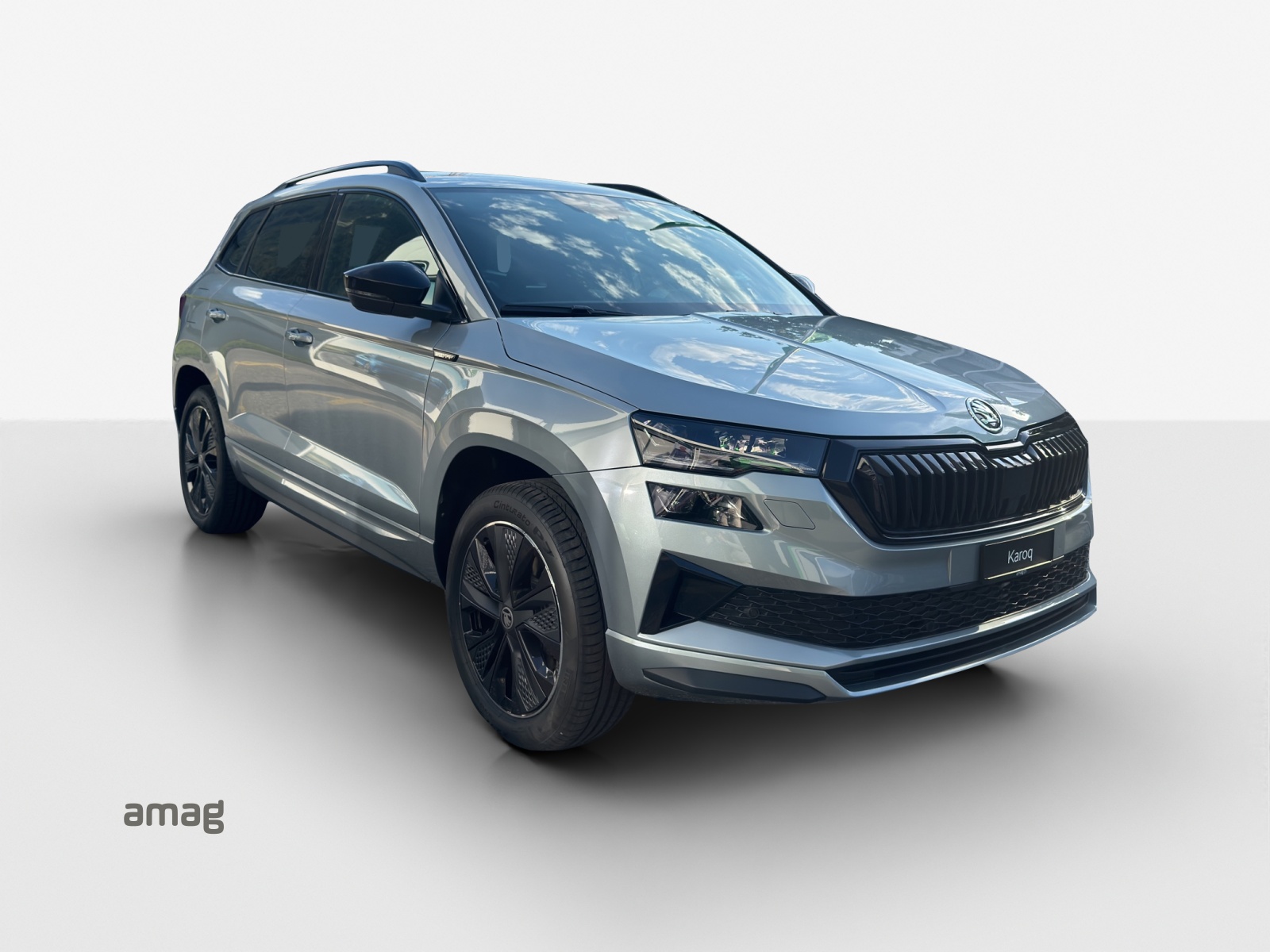 SKODA Karoq 2.0 TSI SportLine 4x4 DSG-image-5