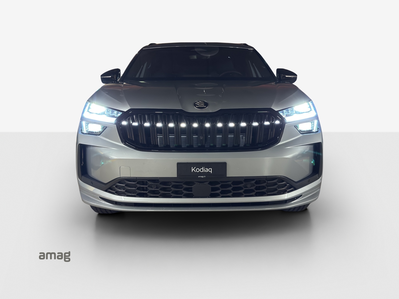 SKODA Kodiaq SL 2.0TSI 204PS 7DSG4x4-image-6