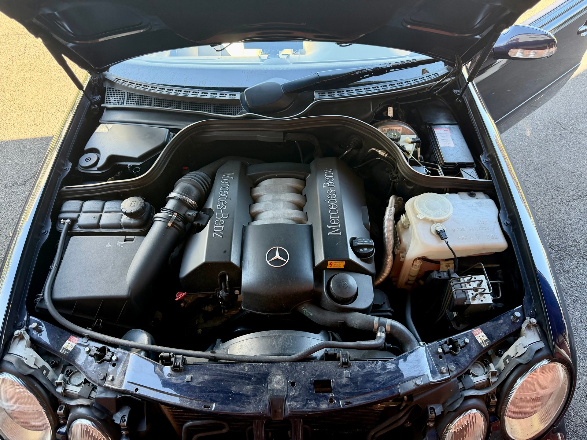 MERCEDES-BENZ CLK 320 V6 Elegance-image-17