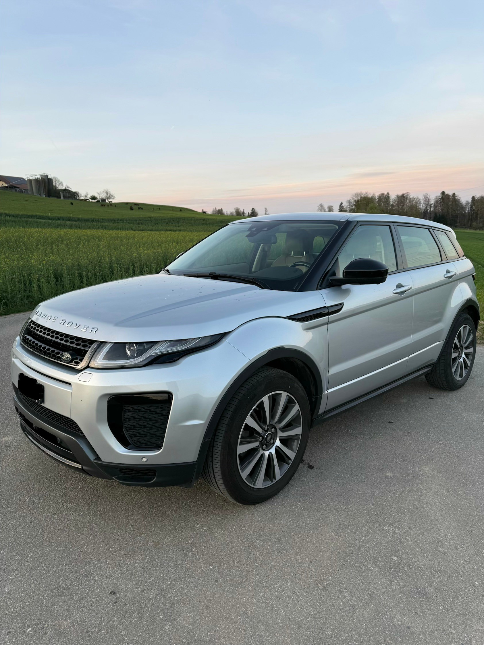LAND ROVER Range Rover Evoque 2.0 Si4 SE AT9-image-1