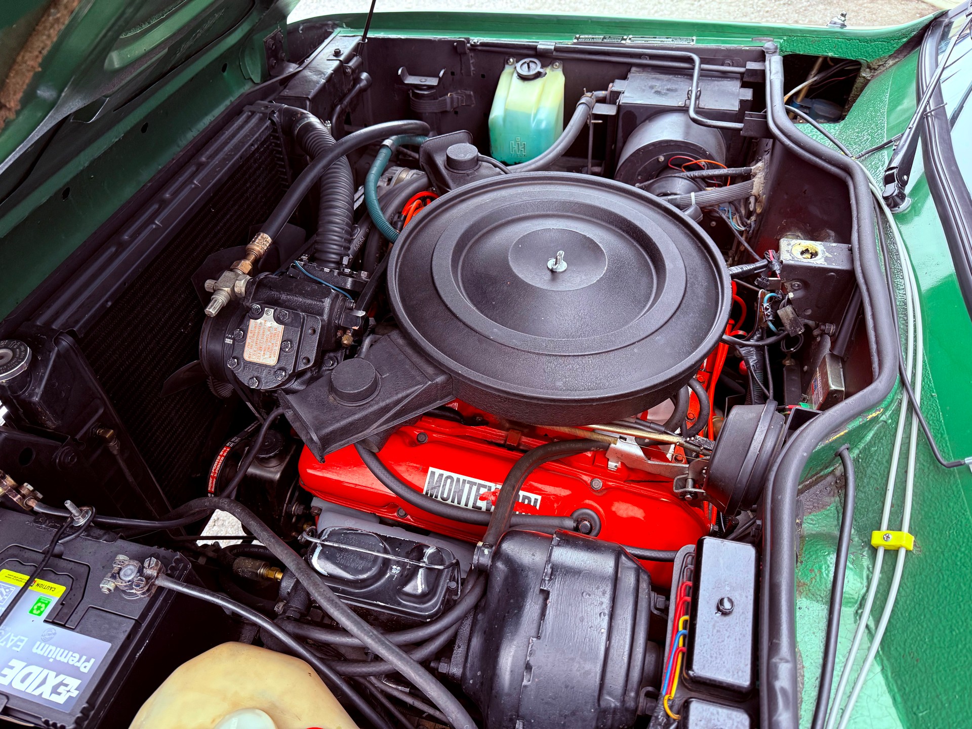 MONTEVERDI Safari High Speed 7.2-image-7