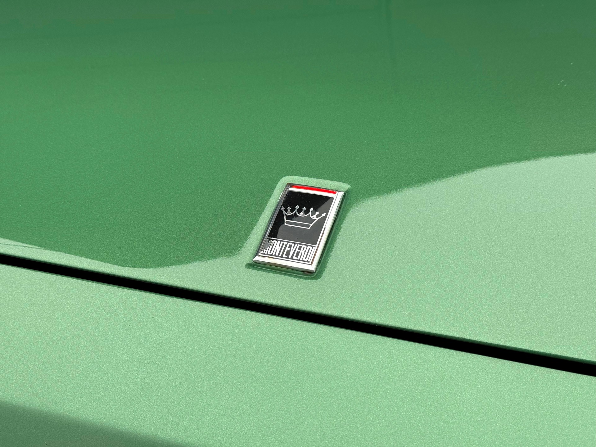 MONTEVERDI Safari High Speed 7.2-image-5