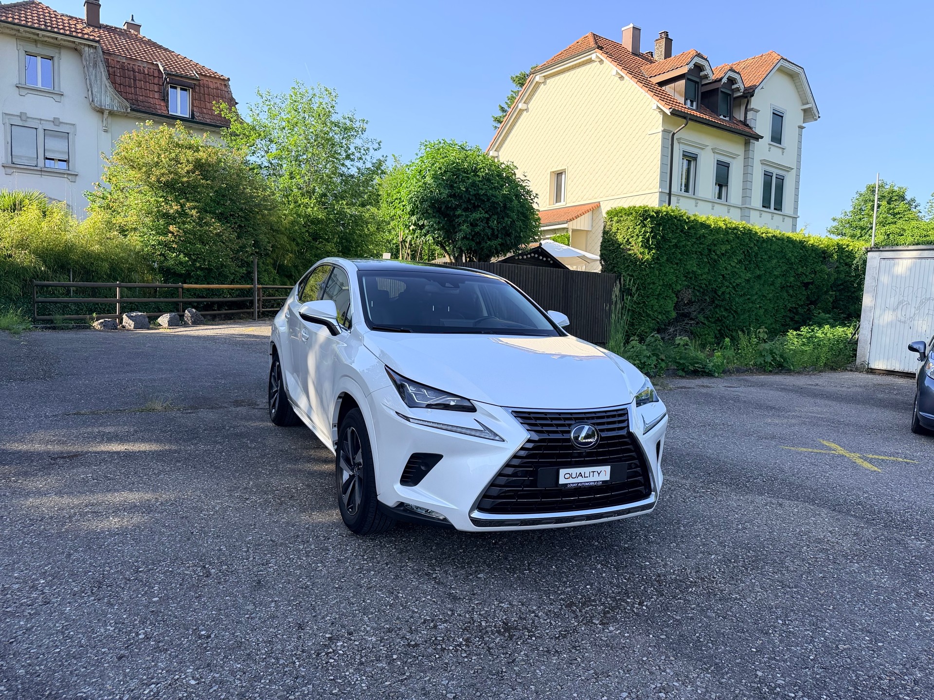 LEXUS NX 300h F-Sport E-Four Automatic-showroom-element-3