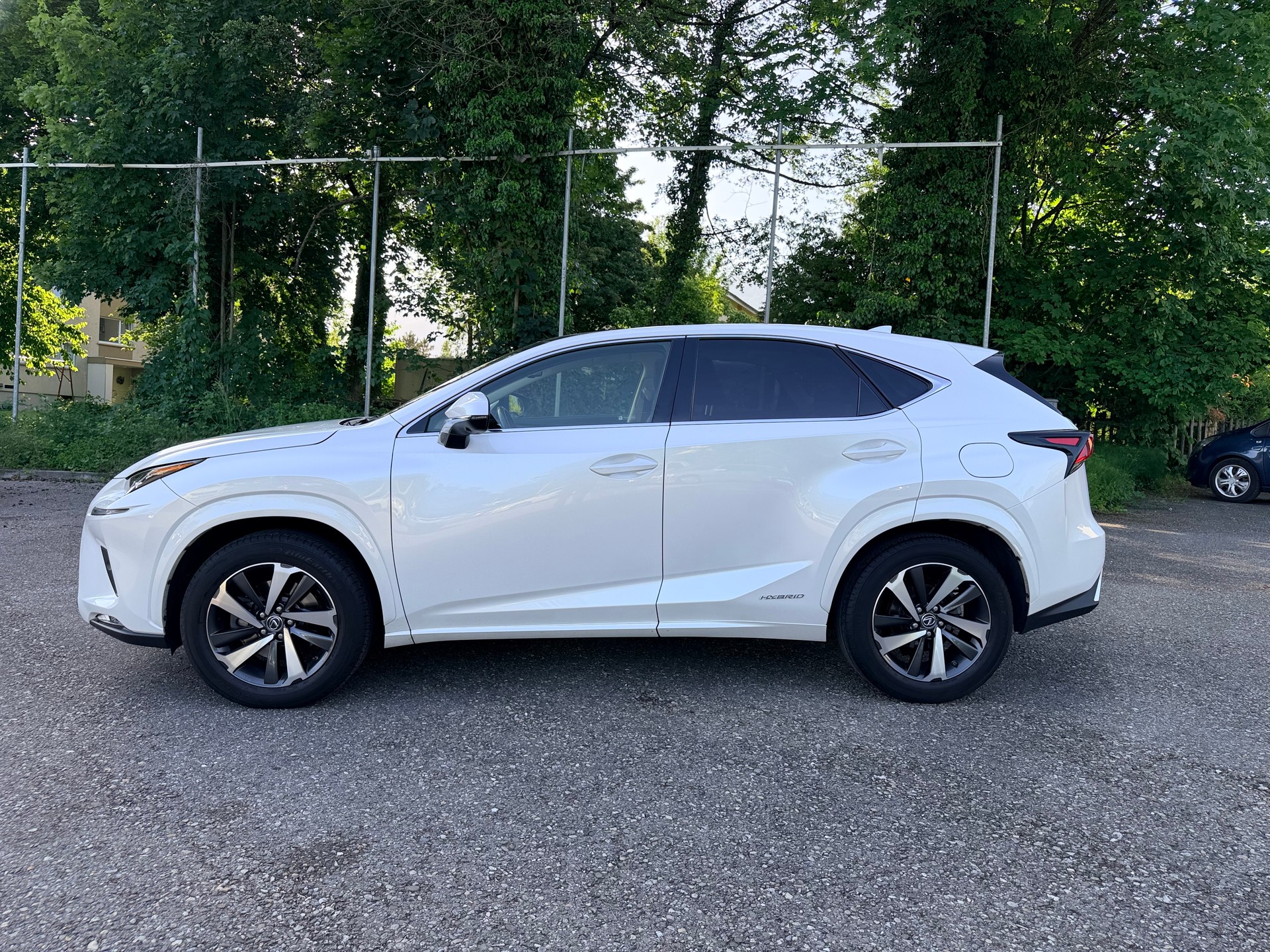 LEXUS NX 300h F-Sport E-Four Automatic-image-5