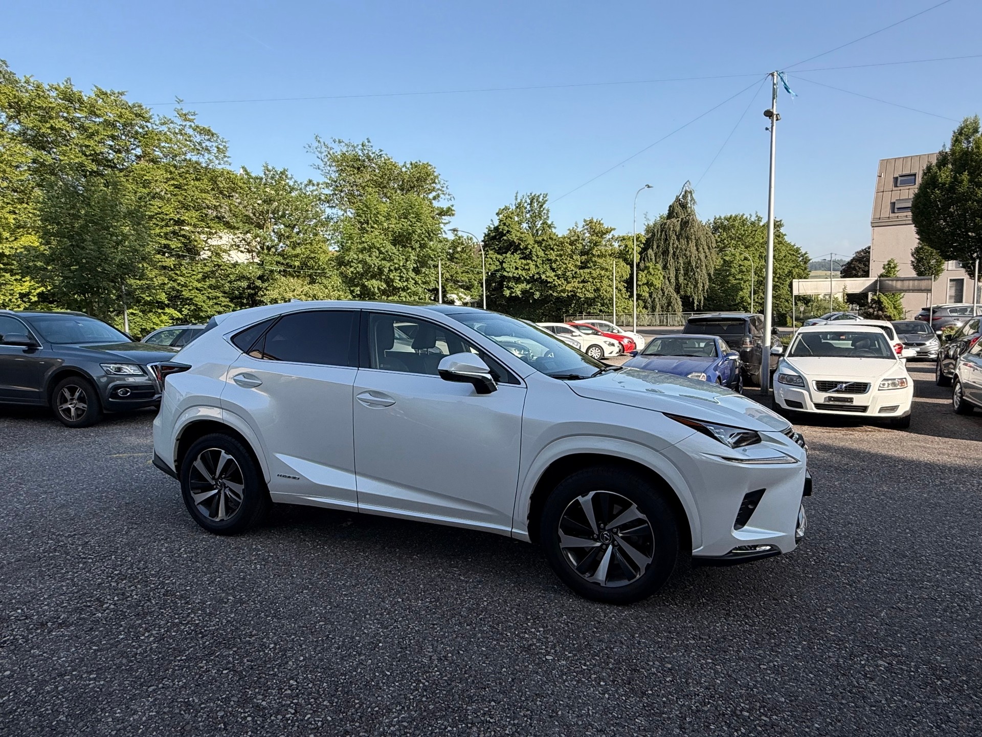 LEXUS NX 300h F-Sport E-Four Automatic-image-7