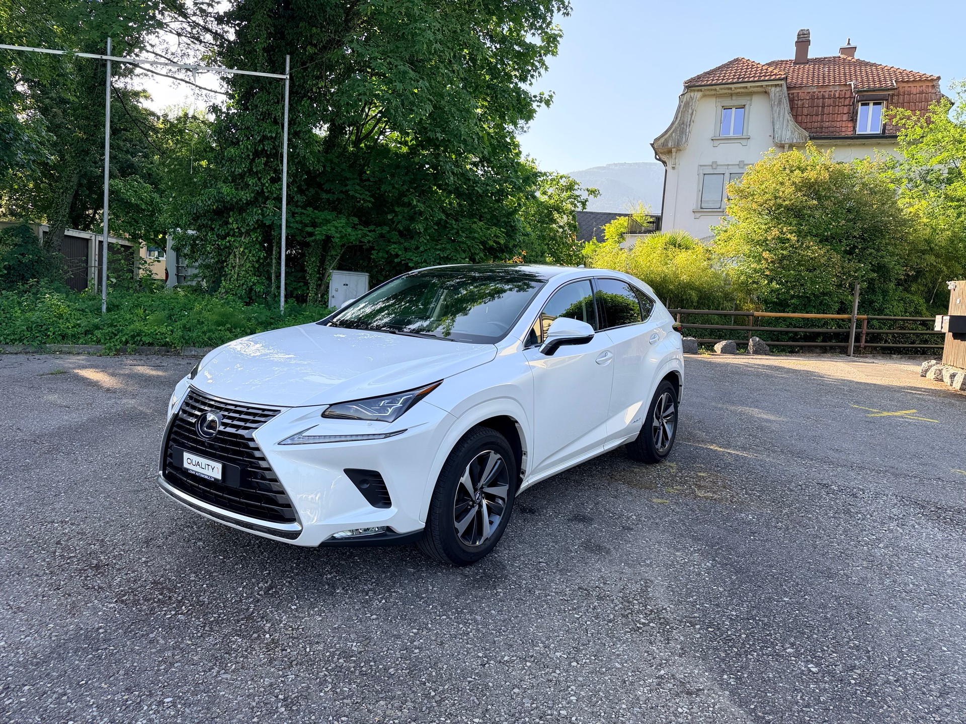LEXUS NX 300h F-Sport E-Four Automatic-image-9