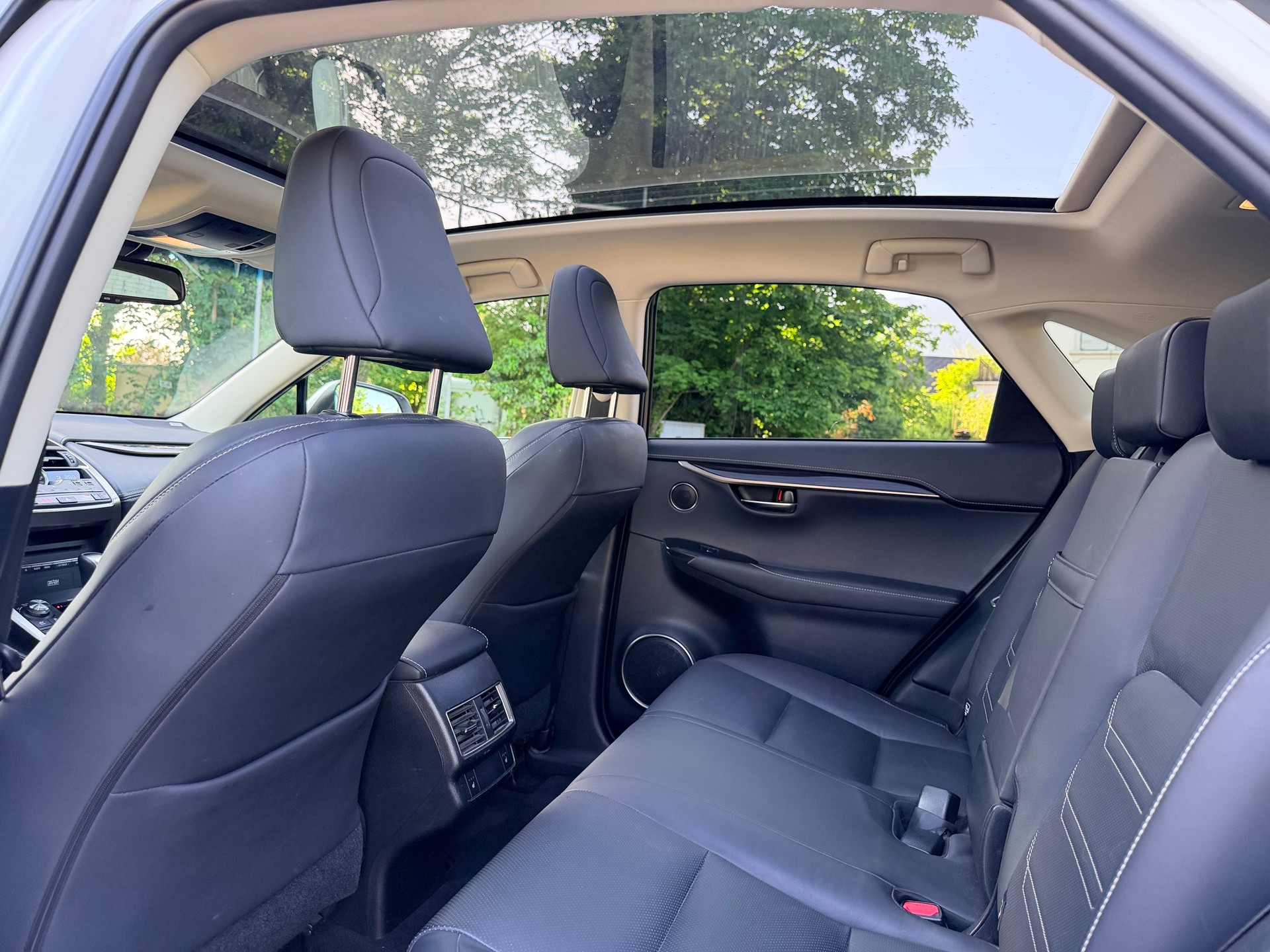 LEXUS NX 300h F-Sport E-Four Automatic-image-24