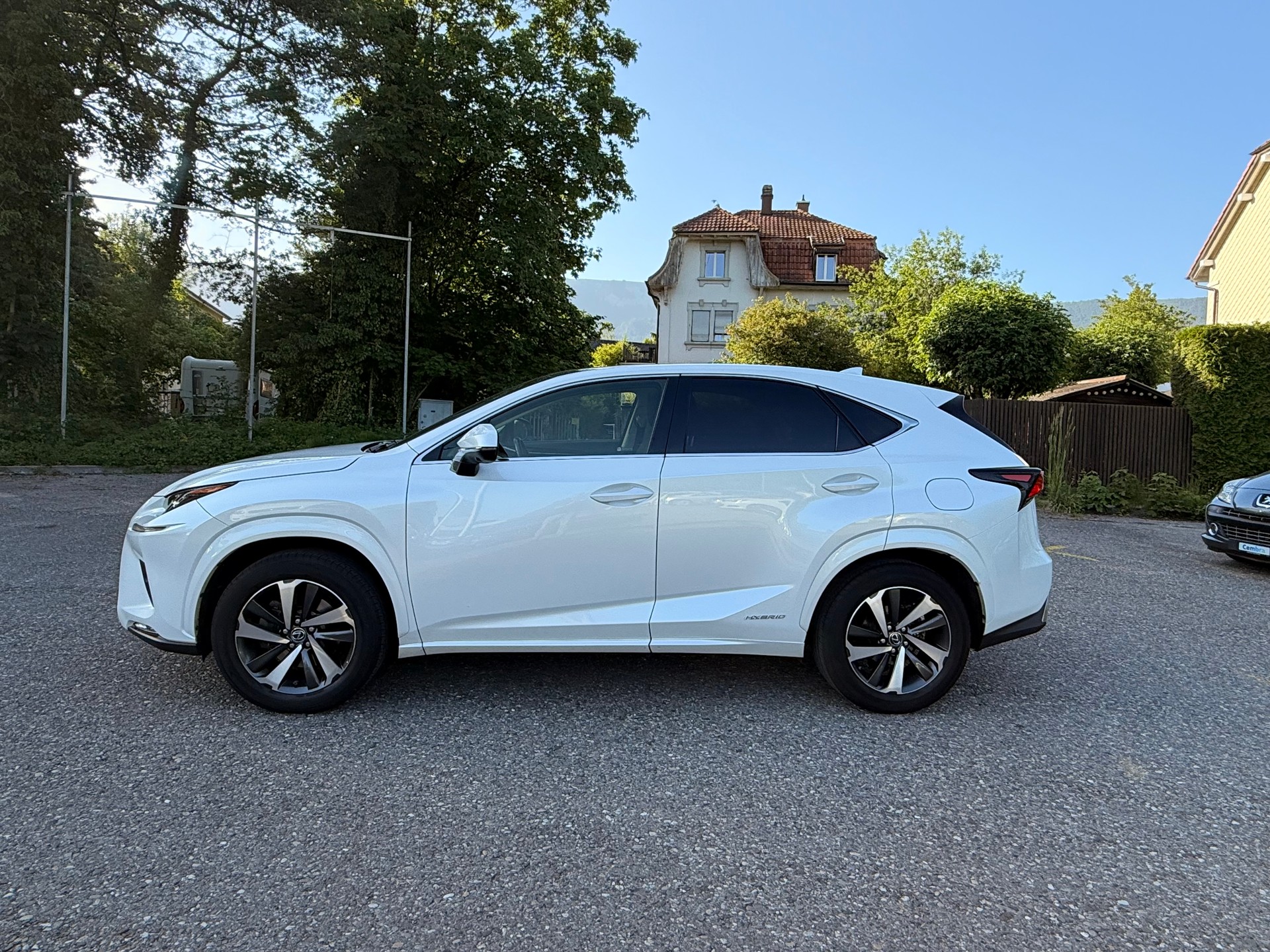 LEXUS NX 300h F-Sport E-Four Automatic-image-8