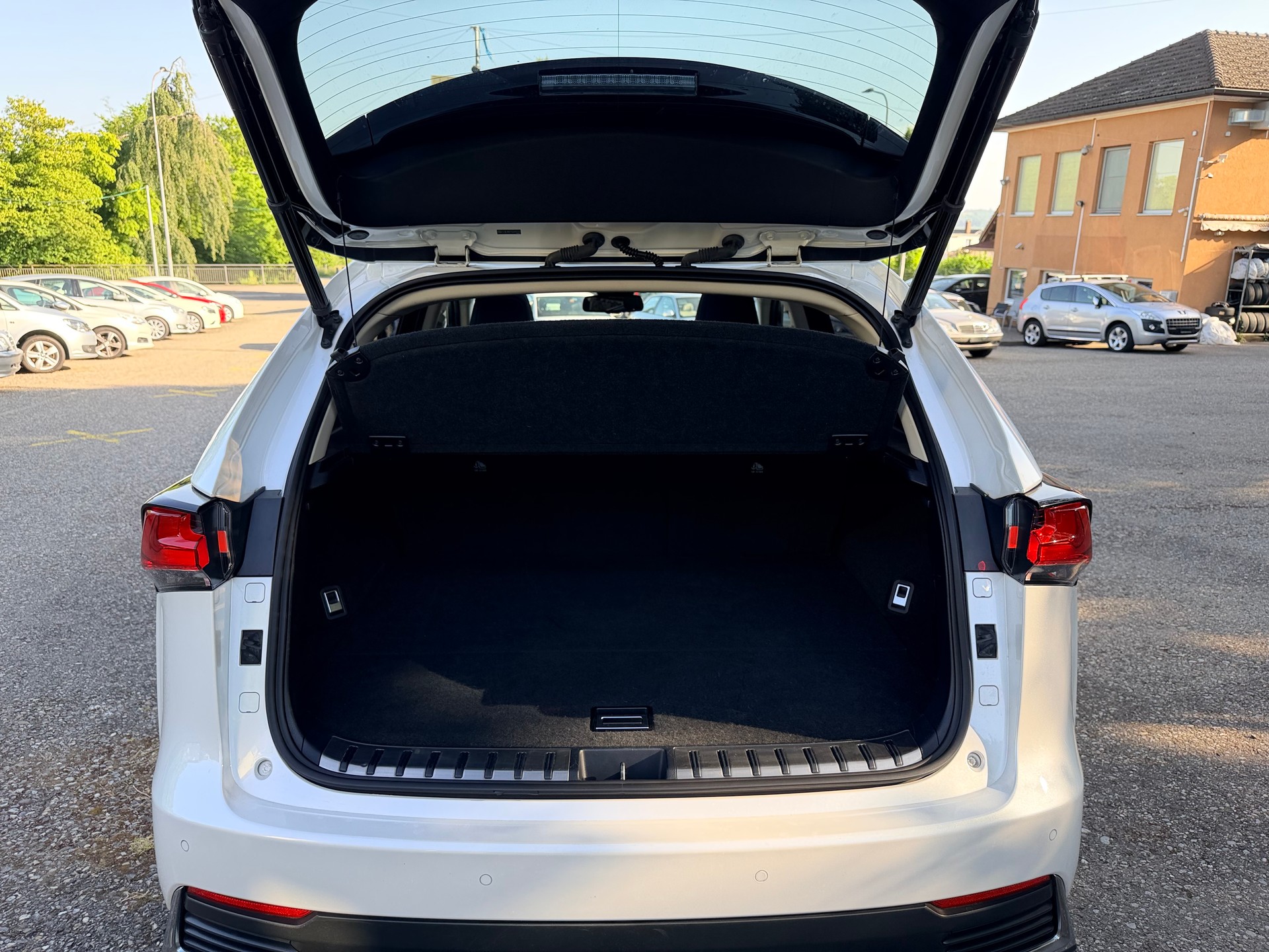 LEXUS NX 300h F-Sport E-Four Automatic-image-12