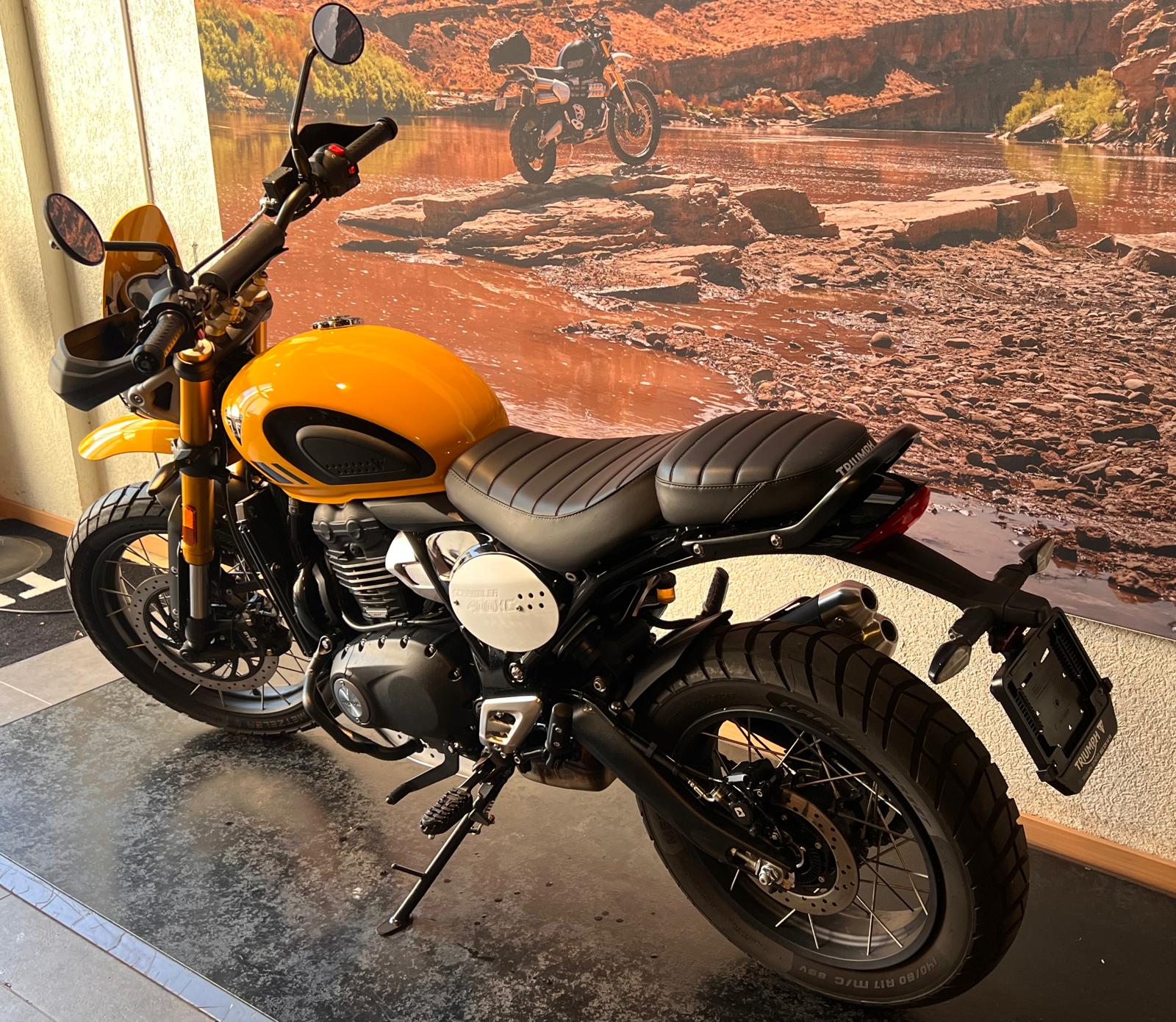 TRIUMPH Scrambler 400 X-image-4