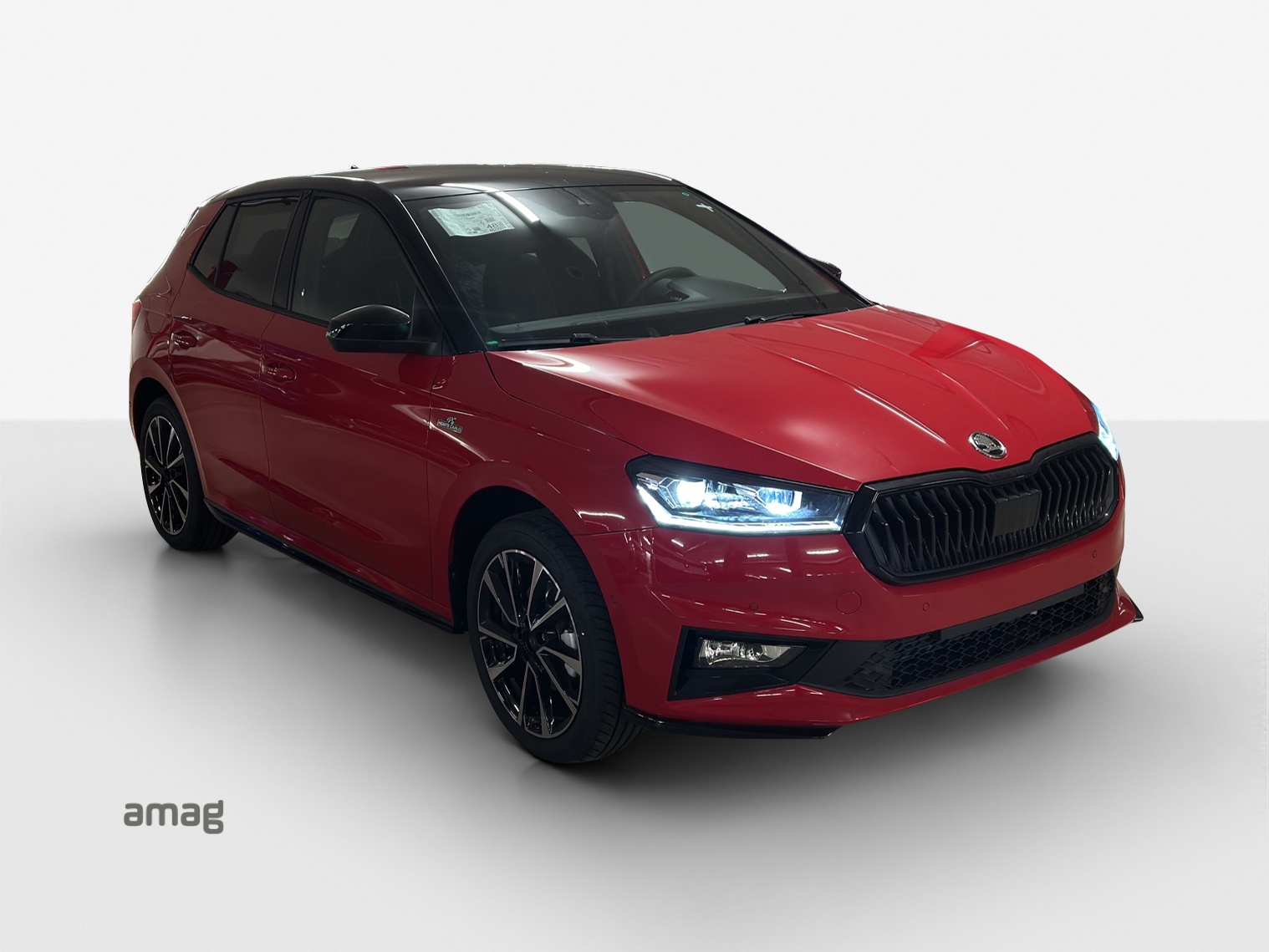 SKODA Fabia 1.0 TSI Monte Carlo DSG-image-6