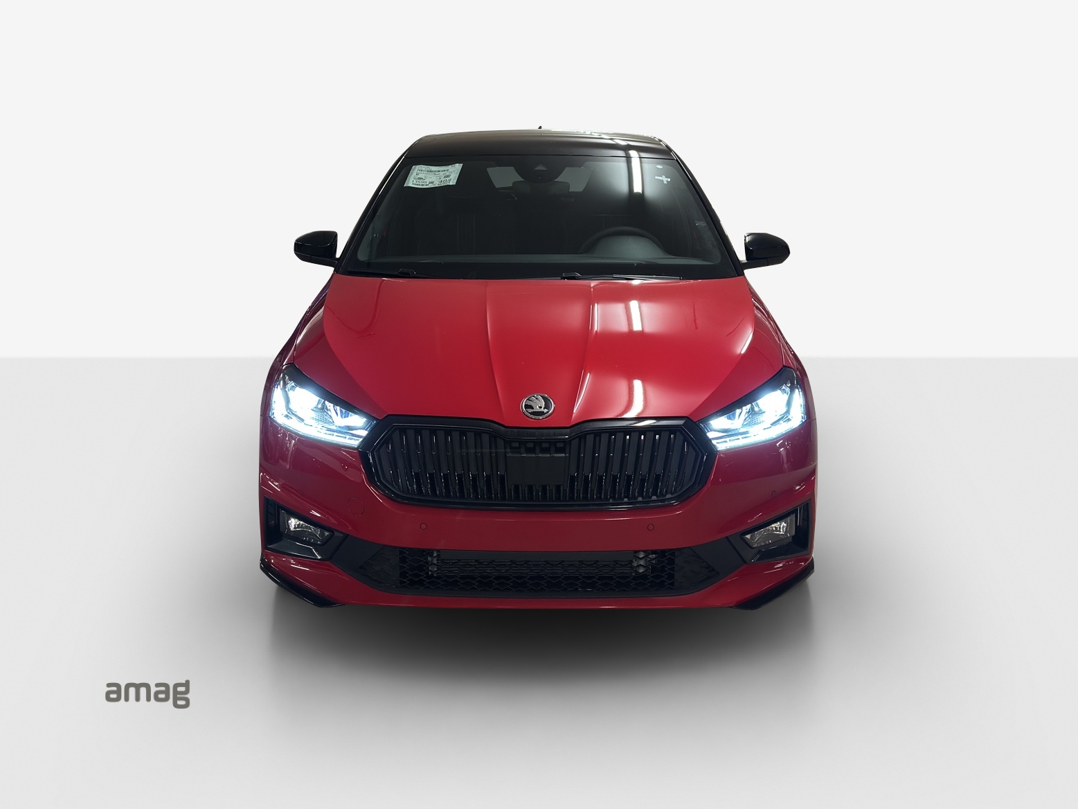 SKODA Fabia 1.0 TSI Monte Carlo DSG-image-1