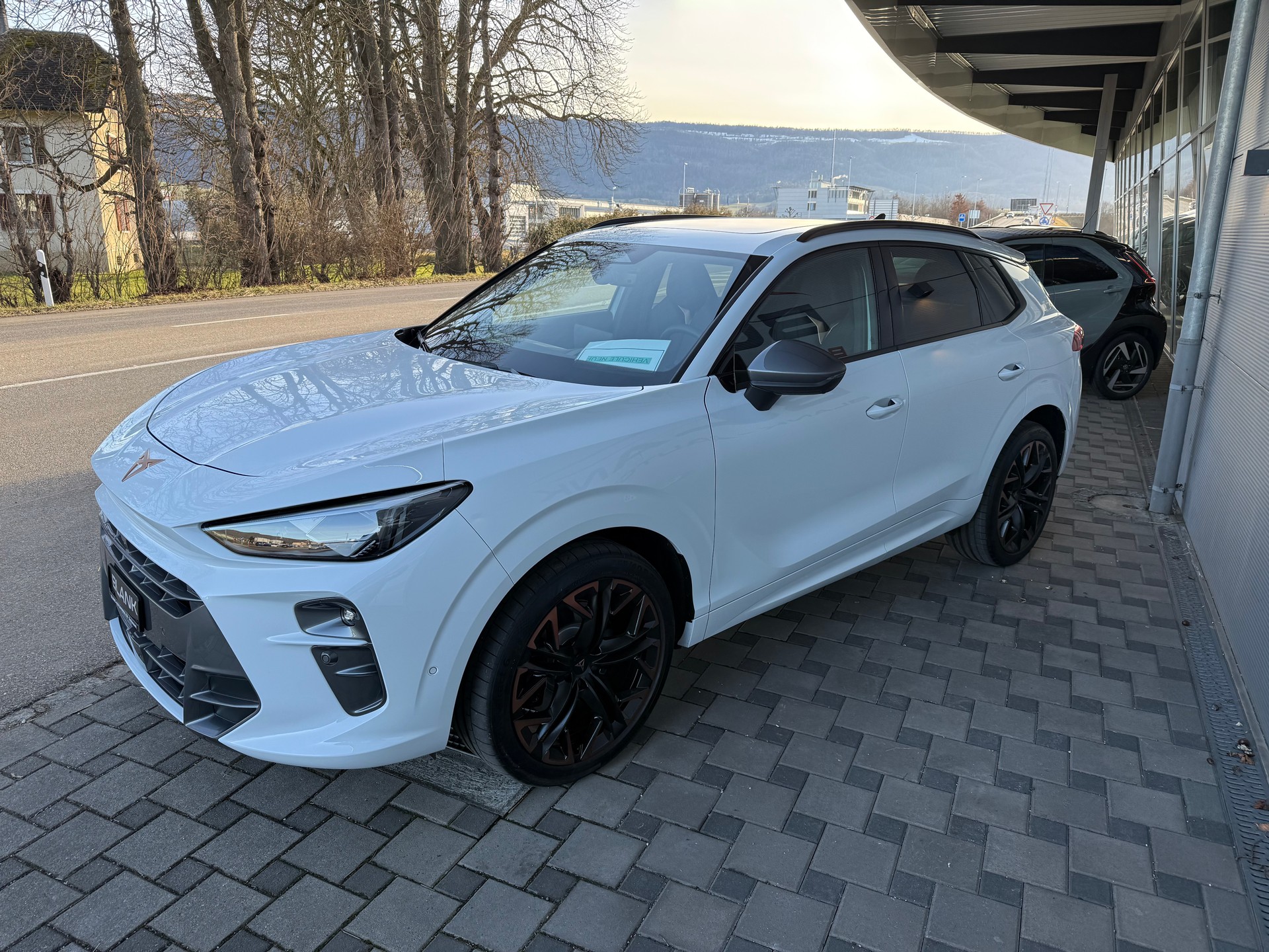 CUPRA Terramar 2.0 TSI DSG VZ 4Drive / VENDUE VERKAUFT-image-2