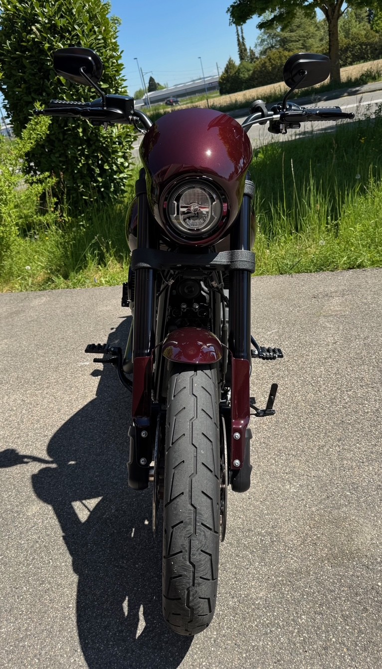 HARLEY-DAVIDSON FXLRS Low Rider S 114-showroom-element-3