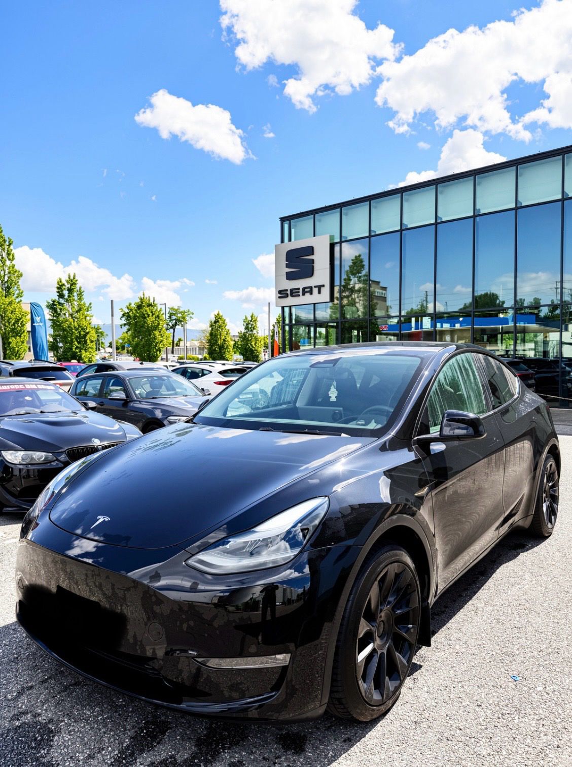 TESLA Long Range-image-1
