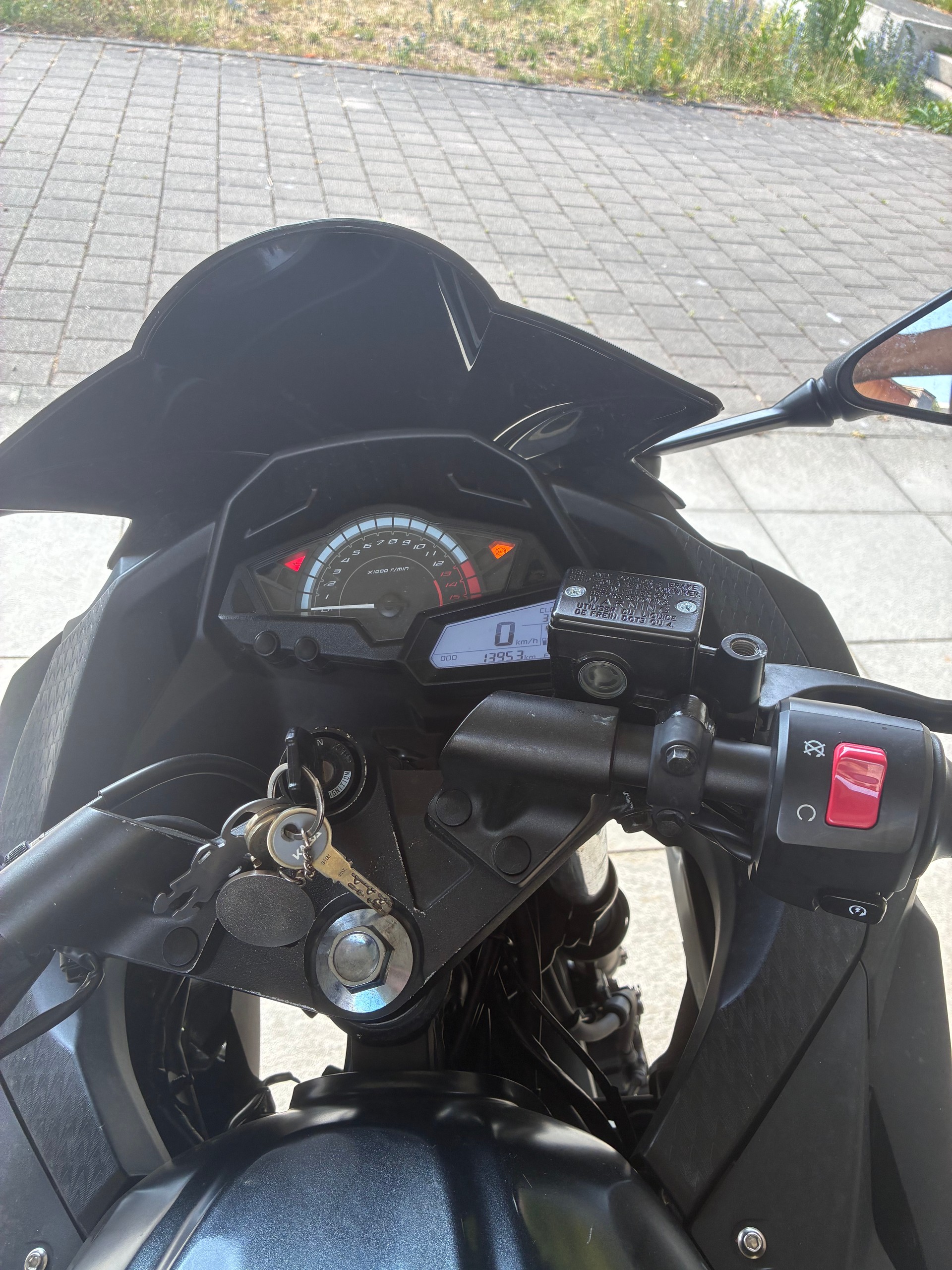 KAWASAKI Ninja 300 ABS-image-6