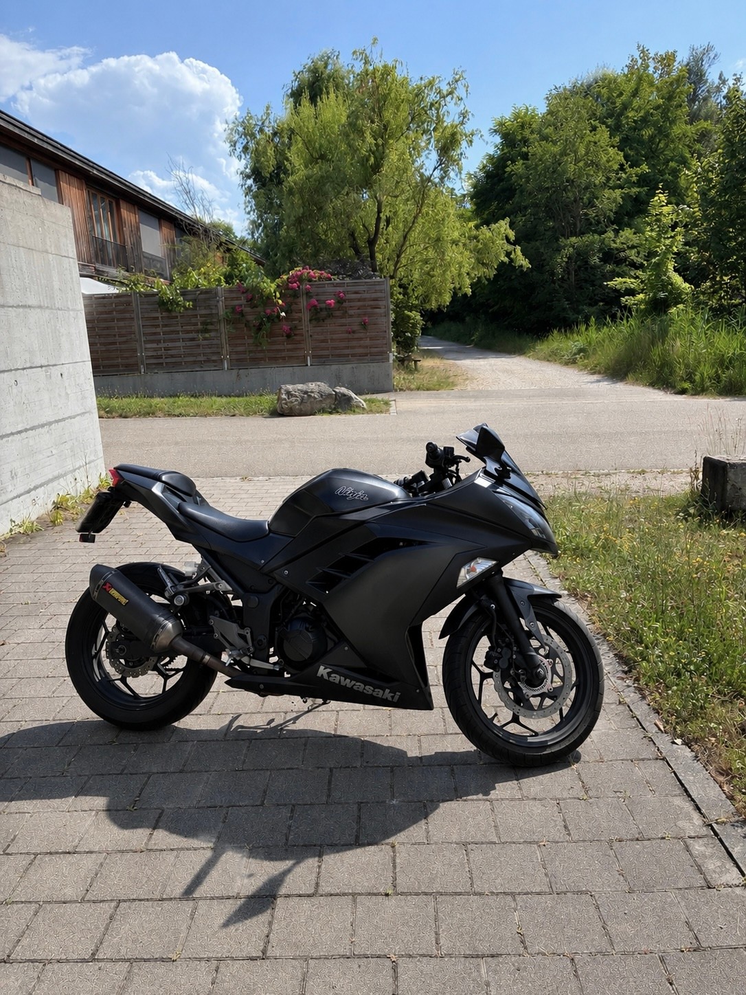 KAWASAKI Ninja 300 ABS-image-3