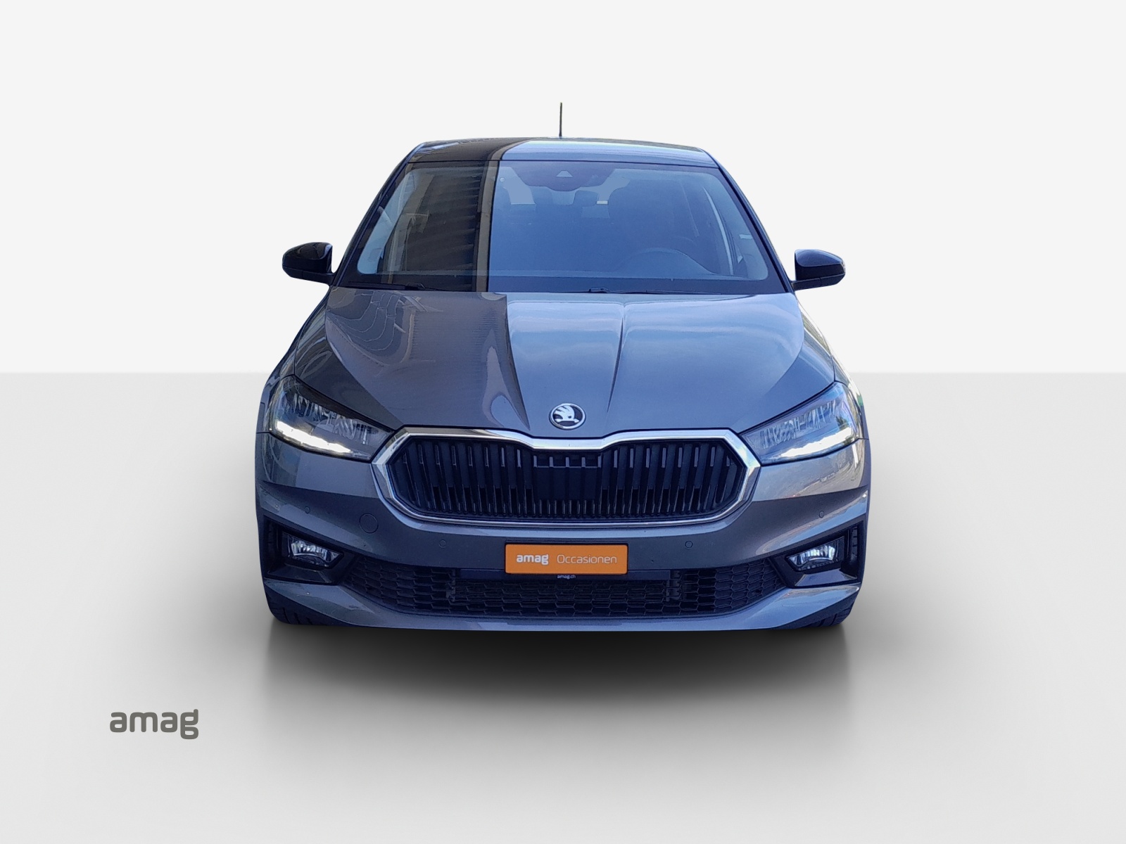 SKODA Fabia 1.0 TSI Dynamic DSG-image-6