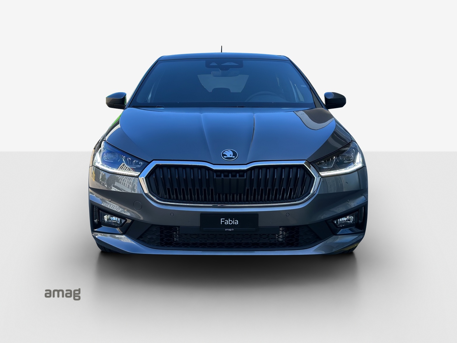 SKODA Fabia 1.0 TSI Dynamic DSG-image-6