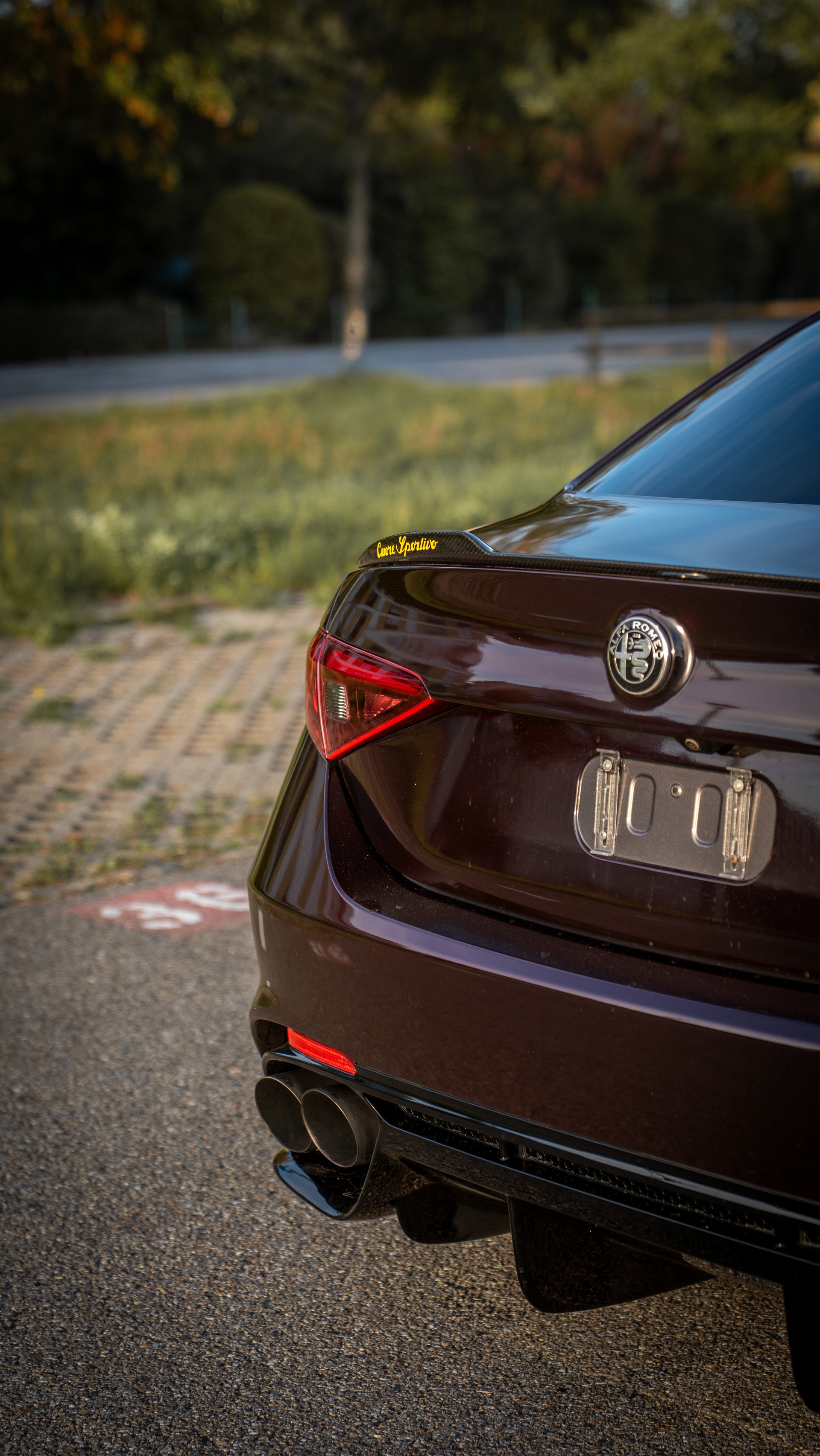 ALFA ROMEO 2.9 V6 Biturbo Quadrifoglio-image-4