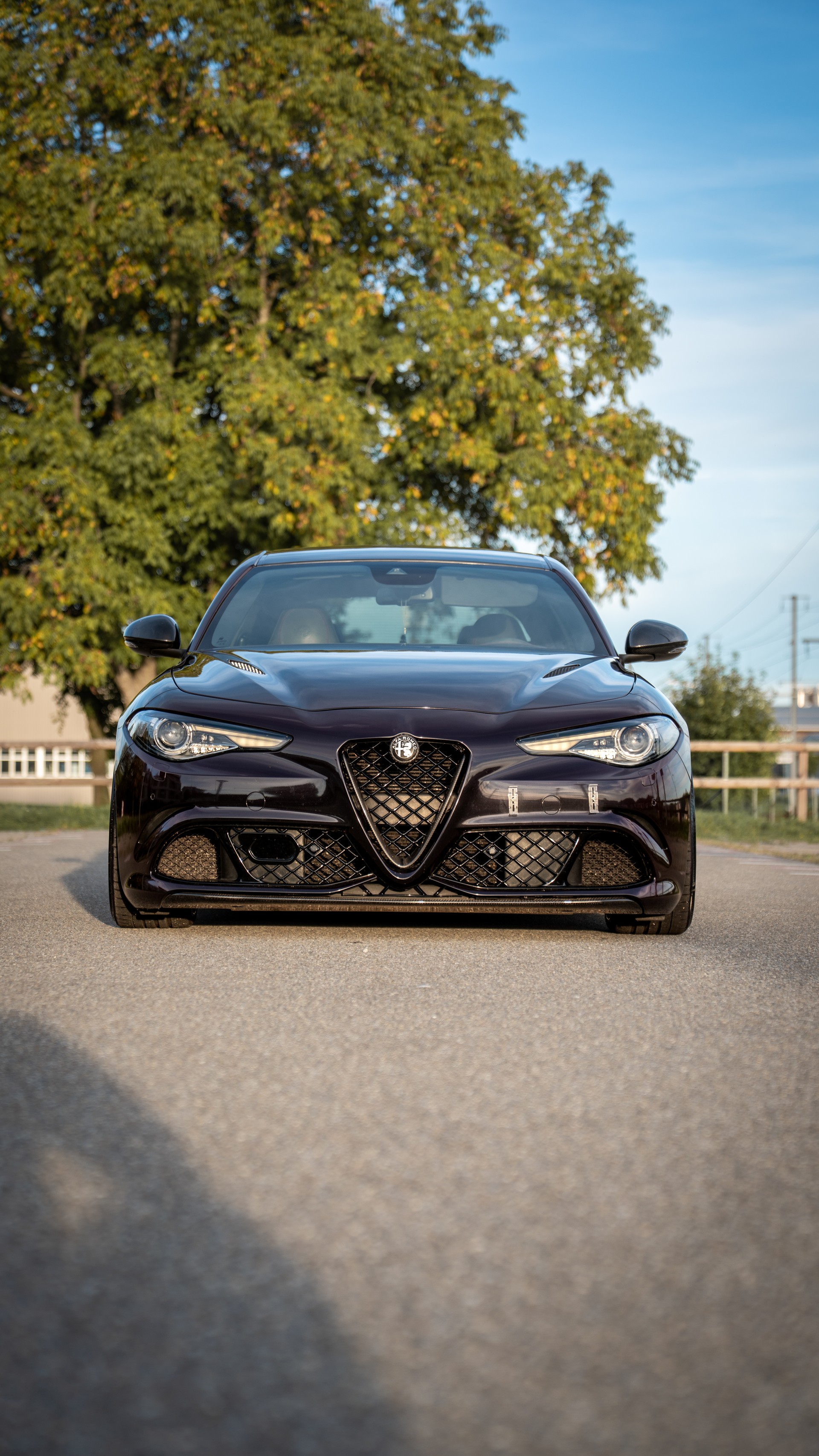 ALFA ROMEO 2.9 V6 Biturbo Quadrifoglio-image-0