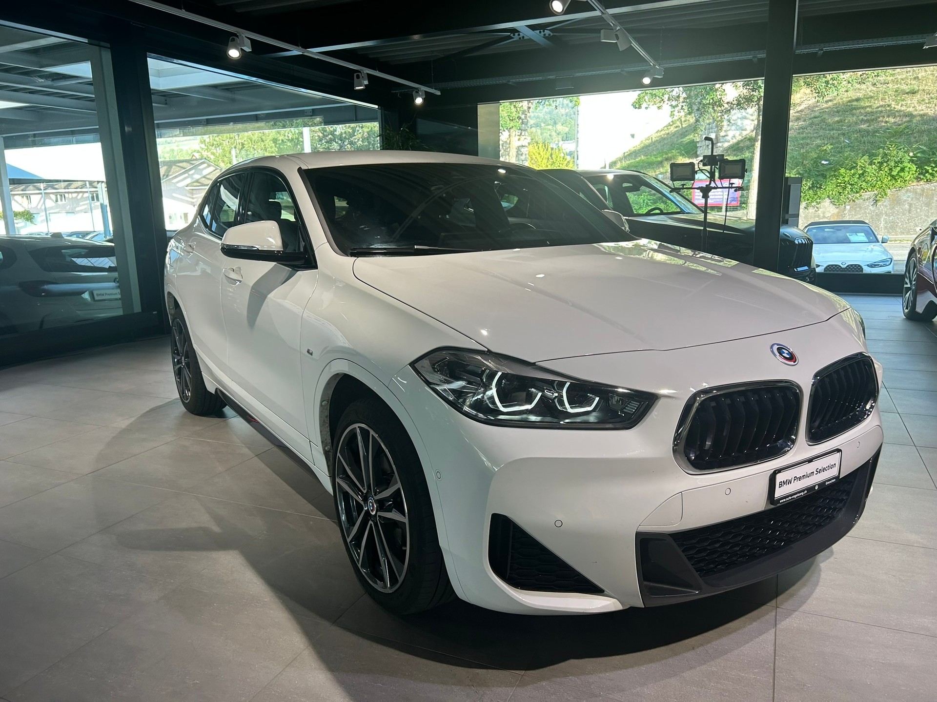 BMW X2 sDrive 18d M Sport Steptronic-showroom-element-3