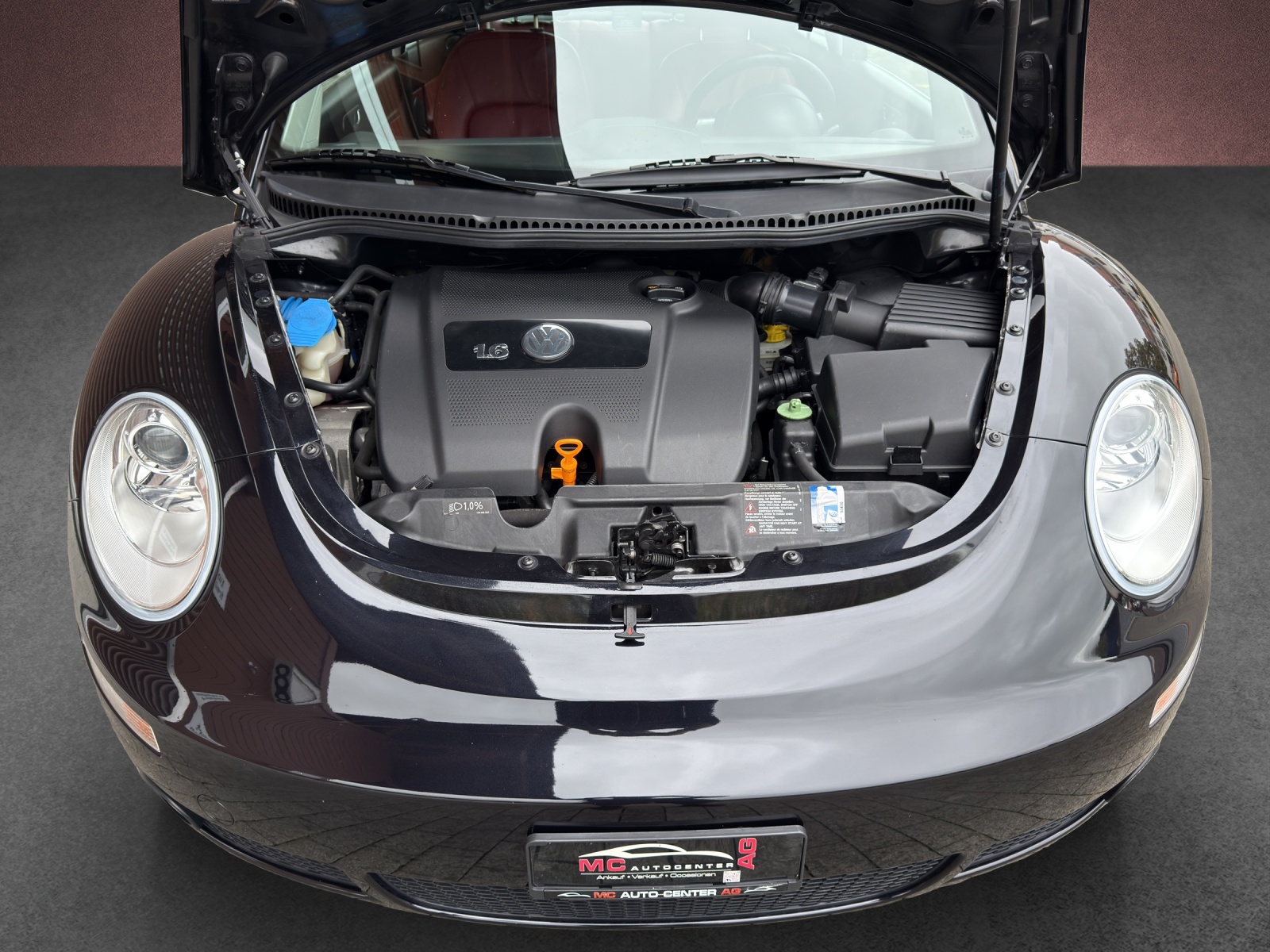 VW Beetle 1.6-image-12