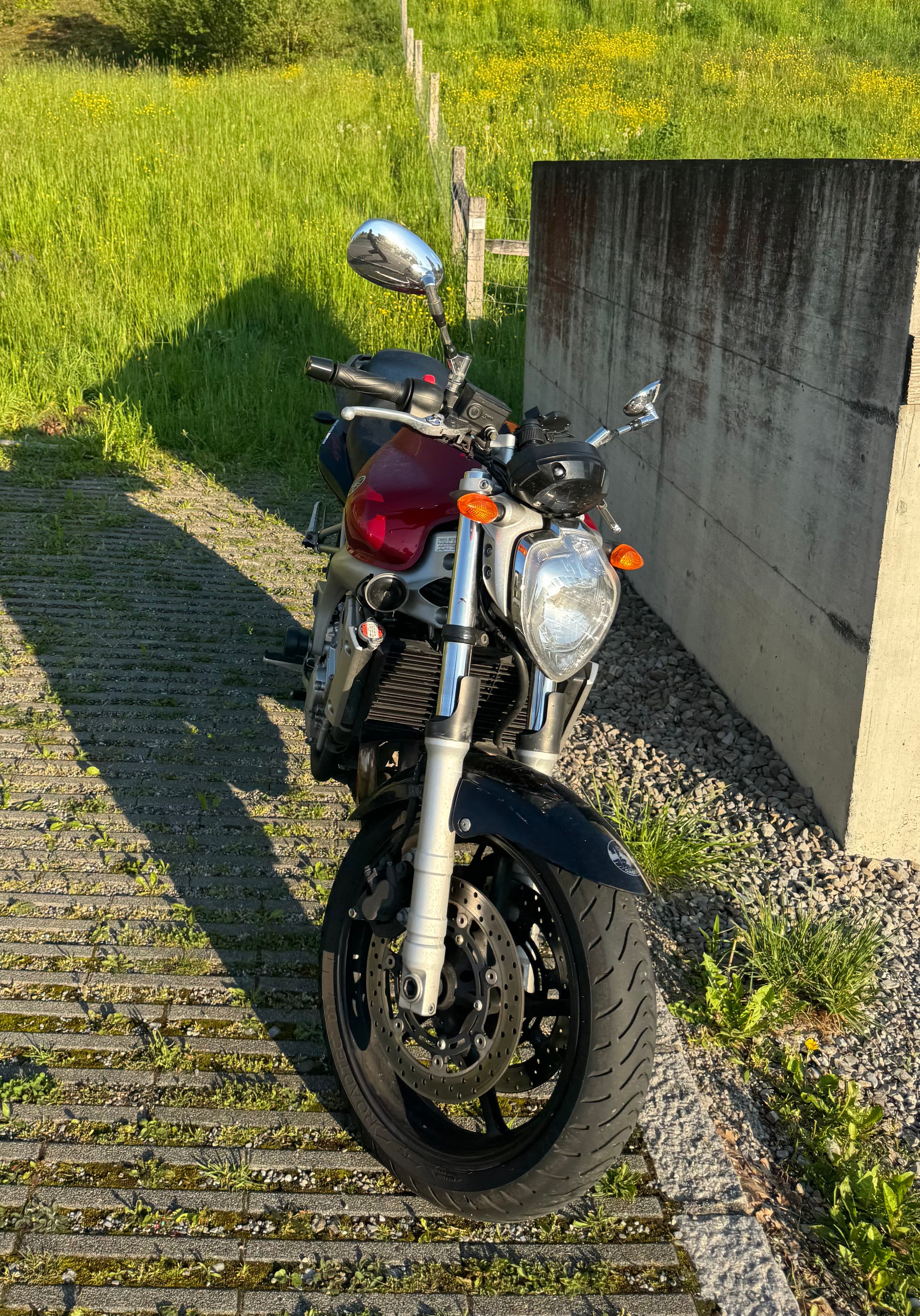 YAMAHA FZ6 N (25kW)-image-2