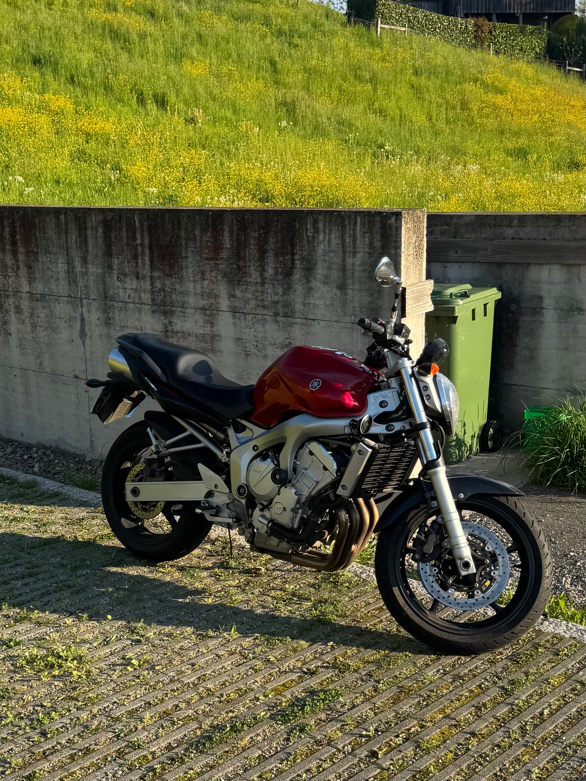 YAMAHA FZ6 N (25kW)-image-1