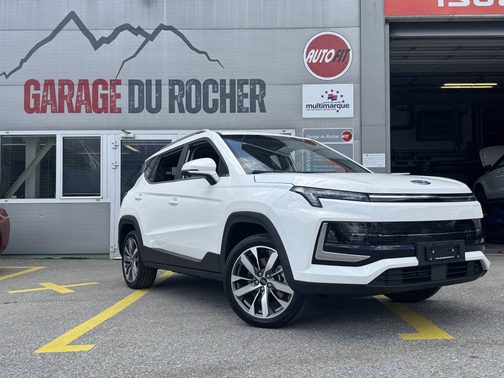 JAC e-JS4 Electric-image-21