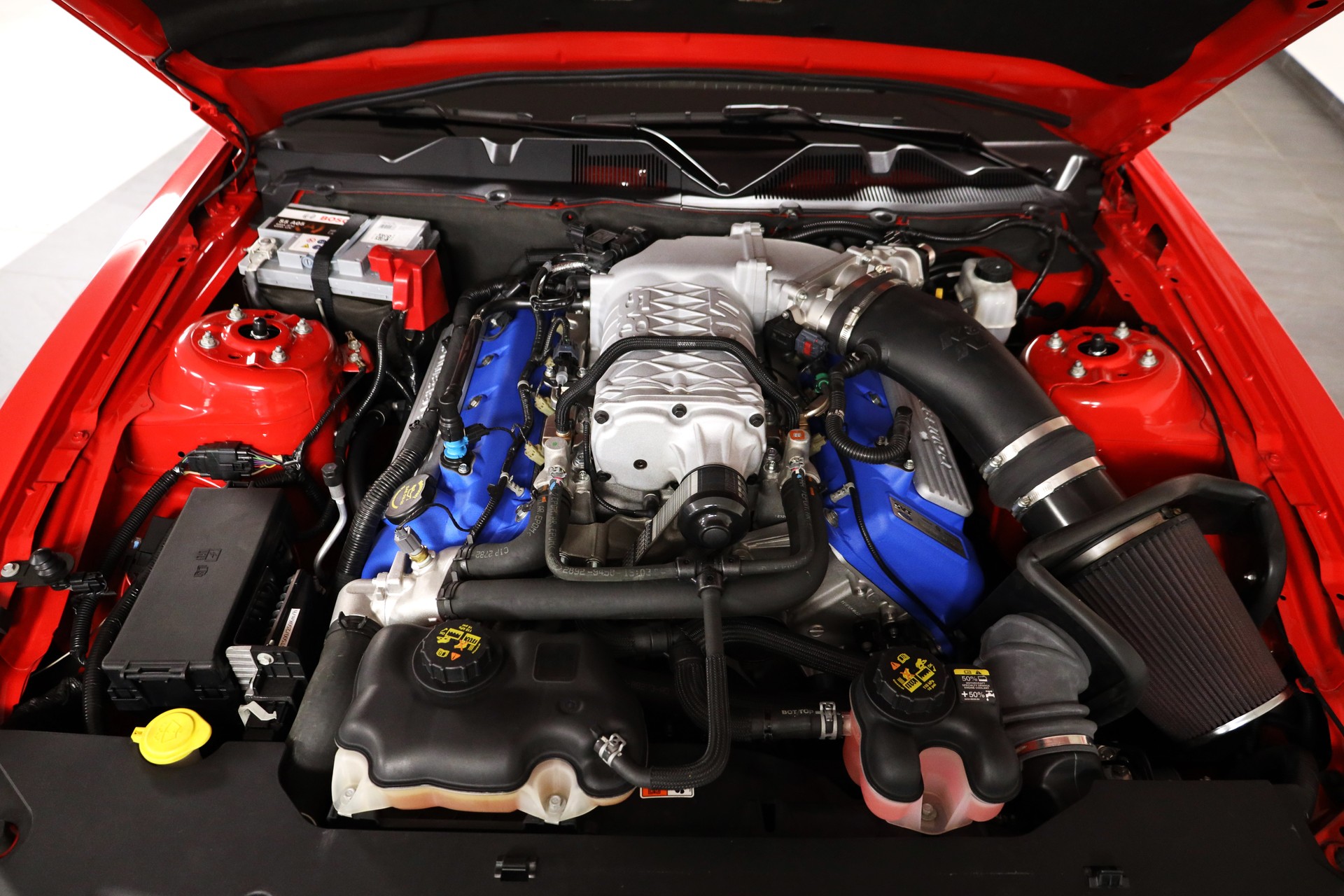 FORD Shelby GT500 5.8 SVT 20th Anniversary Edition-image-13