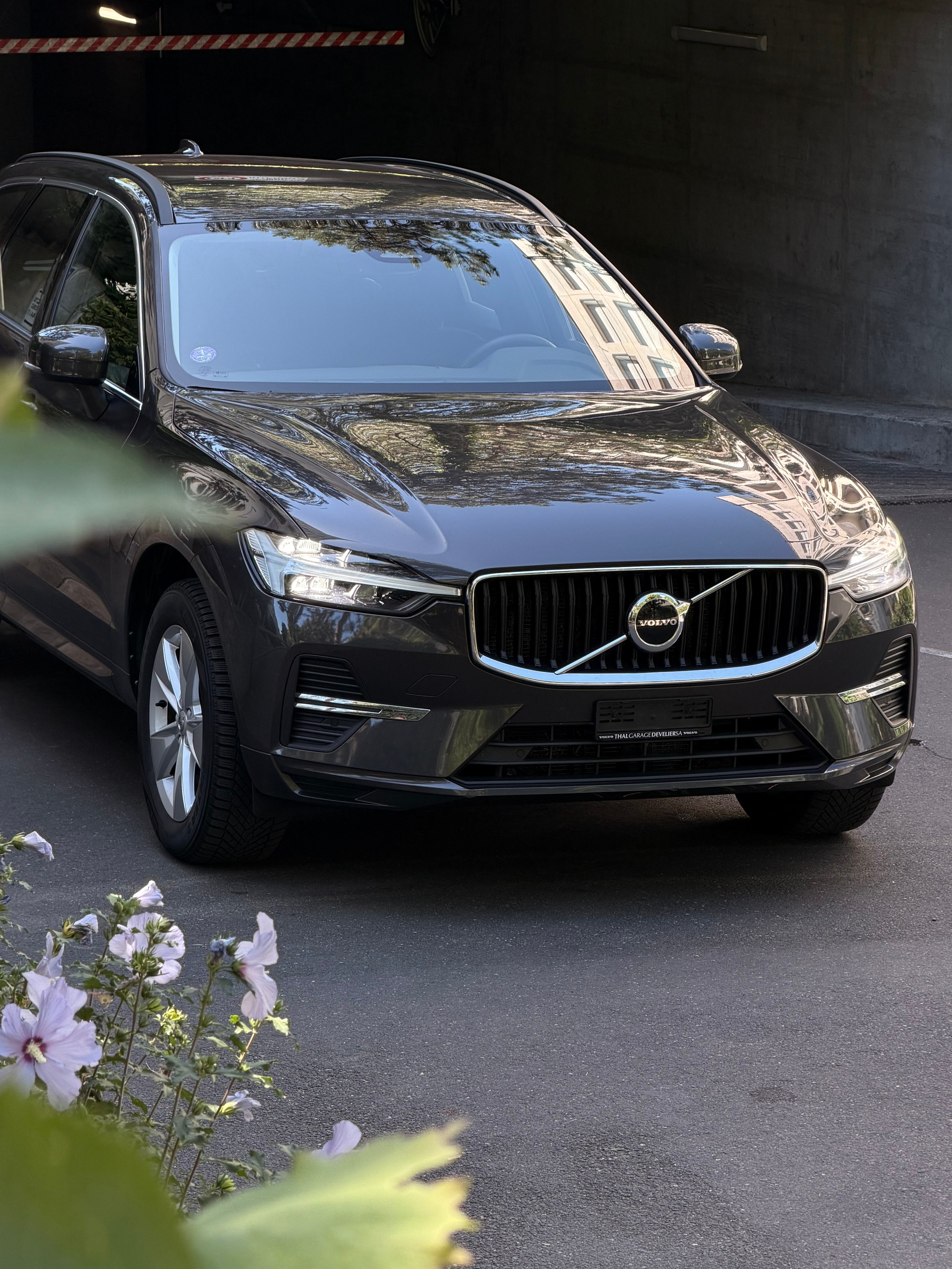 VOLVO XC60 B5 Benzin Mild Hybrid Momentum Geartronic-image-3