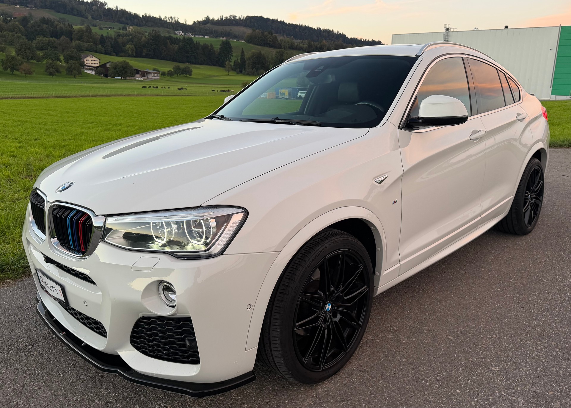 BMW X4 xDrive 28i M Sport Steptronic-image-1