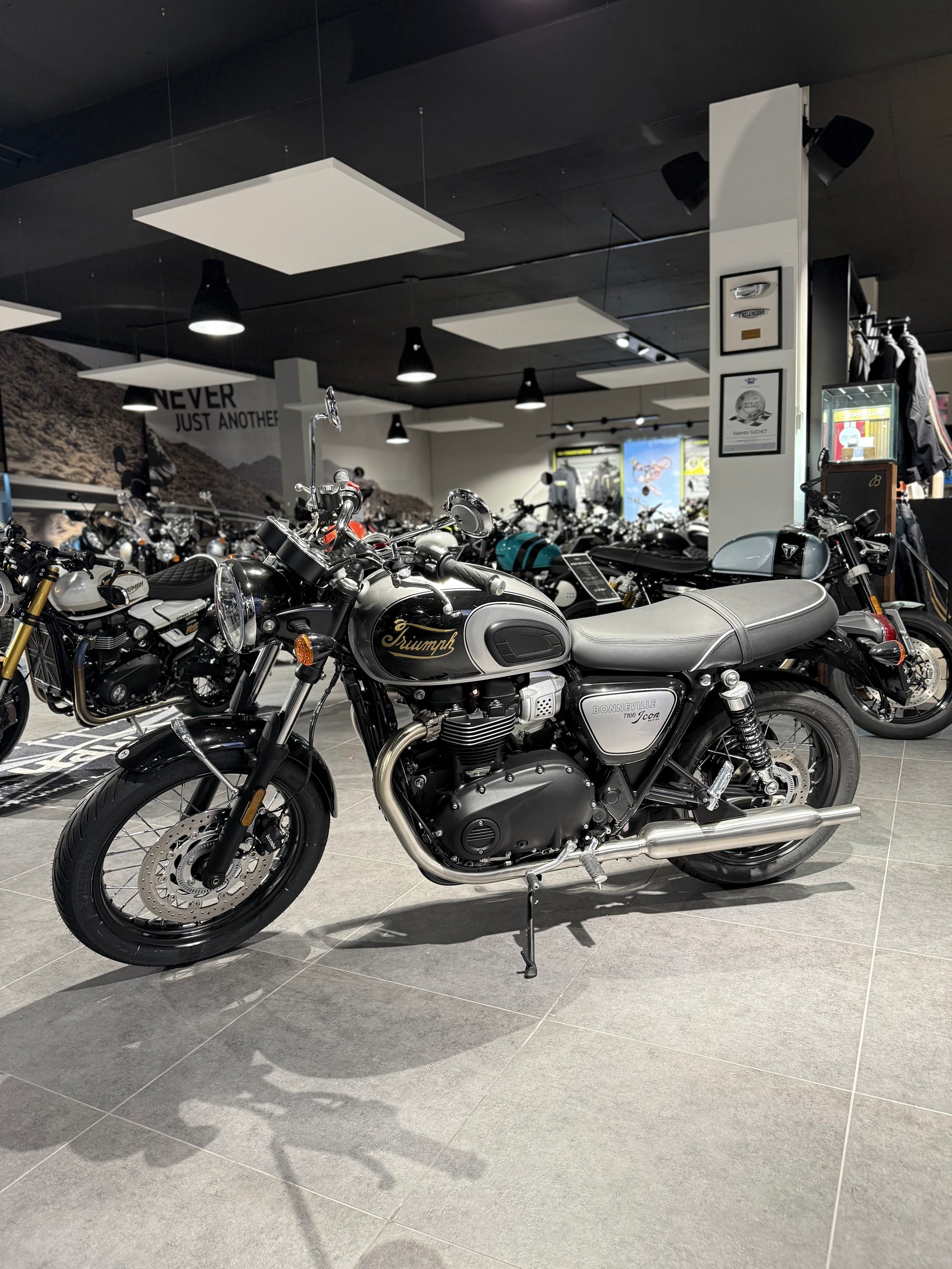 TRIUMPH Bonneville 900 T 100-image-5