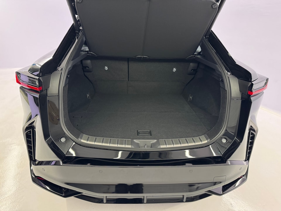 RZ 550e F Sport Direct4 Electric