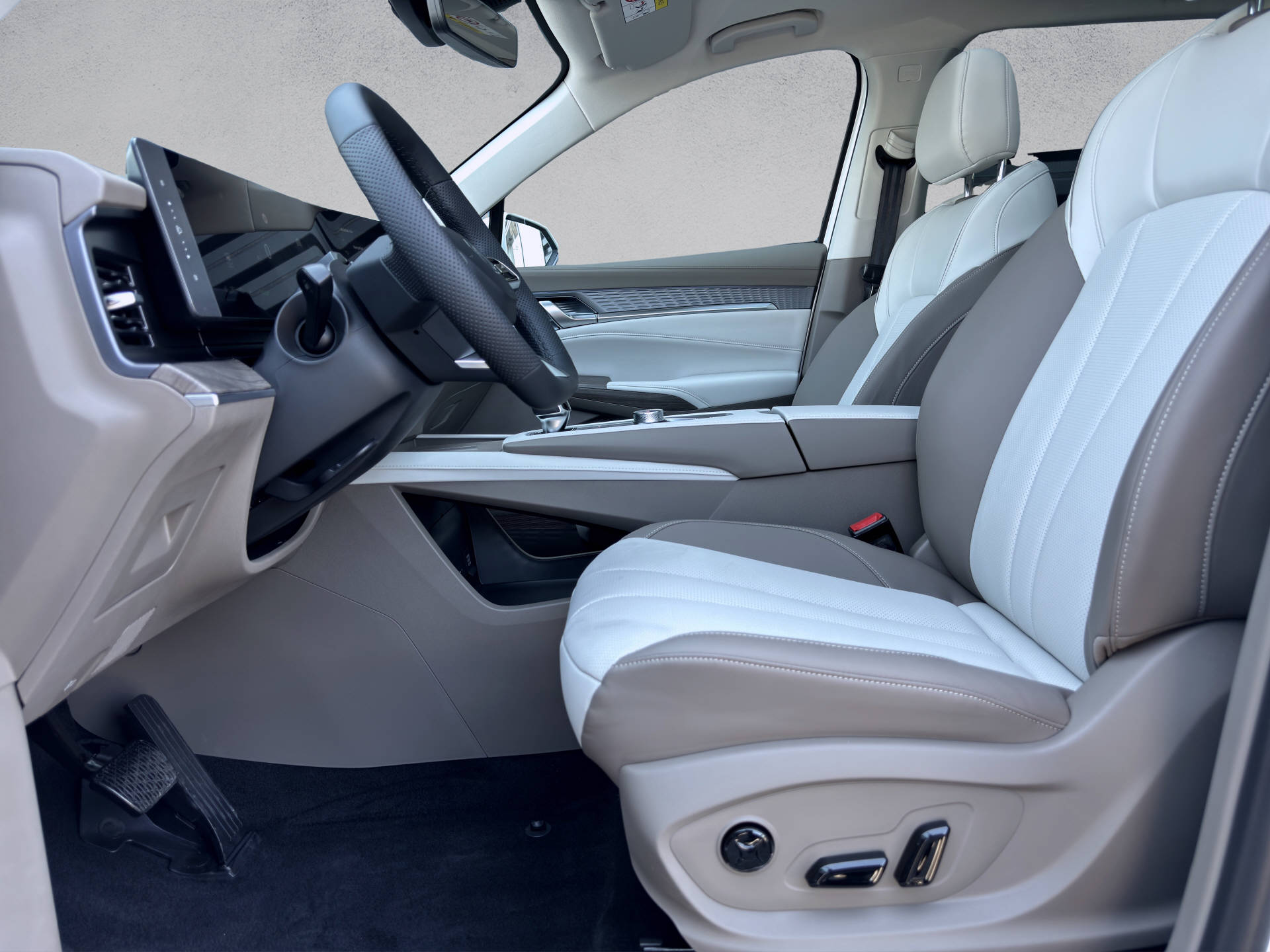 MG S9 1.5 PHEV Premium-image-8