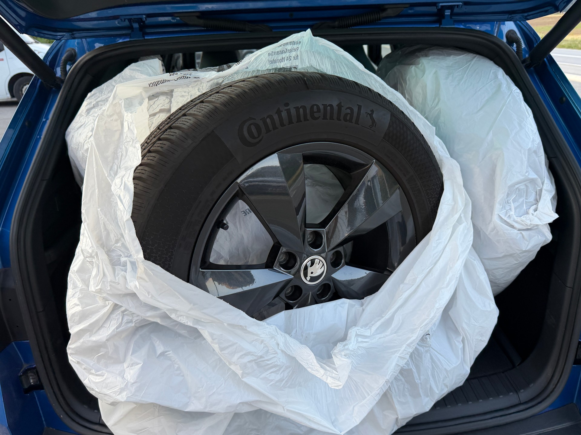 SKODA Kodiaq 2.0 Bi-TDI SCR RS 4x4 DSG-image-11