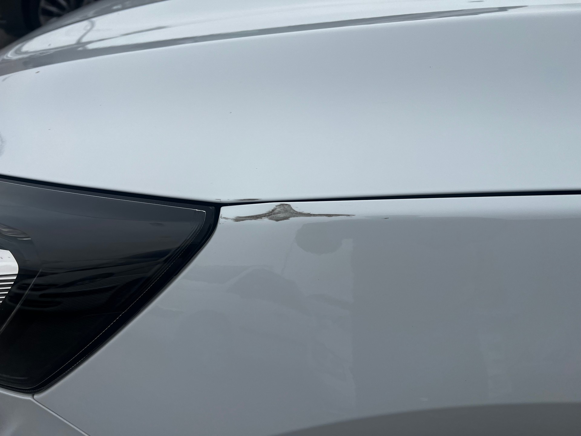 FORD Focus 1.5 TDCi Trend Automatic-image-11