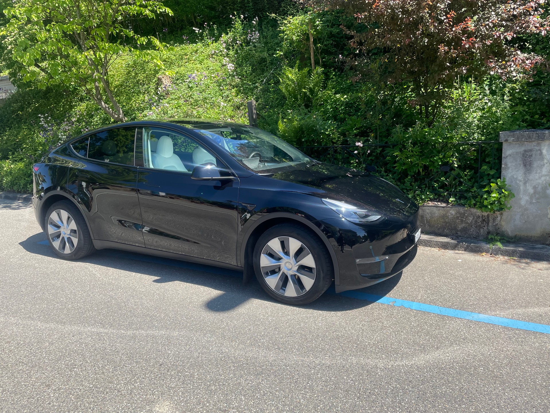TESLA Model Y Long Range 4x4 dual motor, Innenraum weiss, 8-fach bereift-image-11