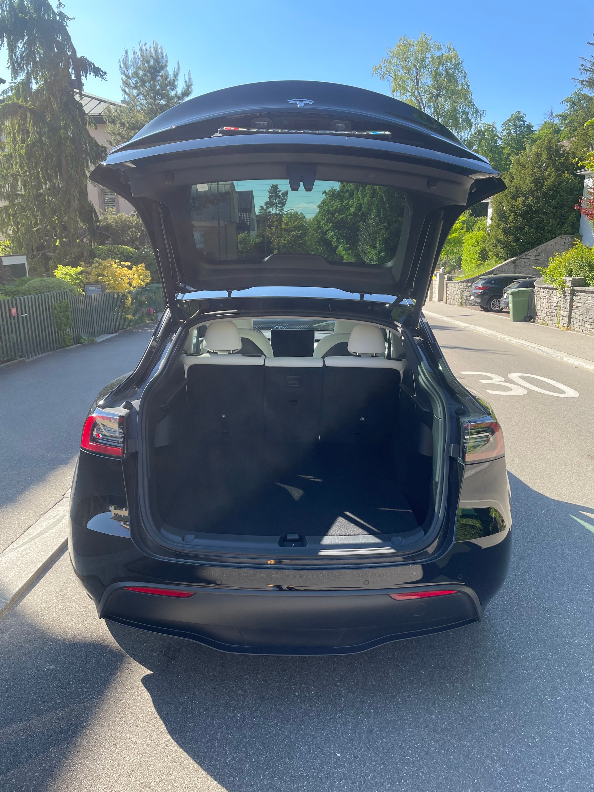 TESLA Model Y Long Range 4x4 dual motor, Innenraum weiss, 8-fach bereift-image-27