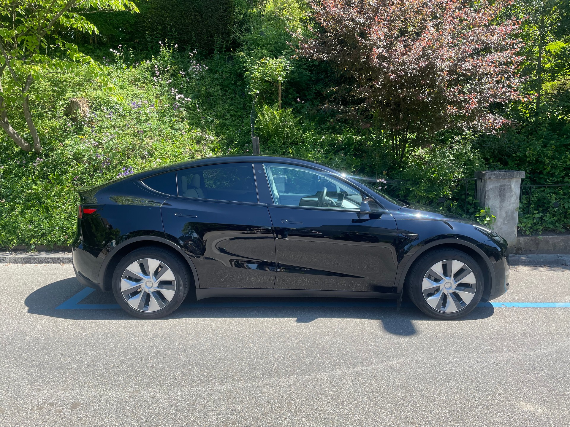 TESLA Model Y Long Range 4x4 dual motor, Innenraum weiss, 8-fach bereift-image-13