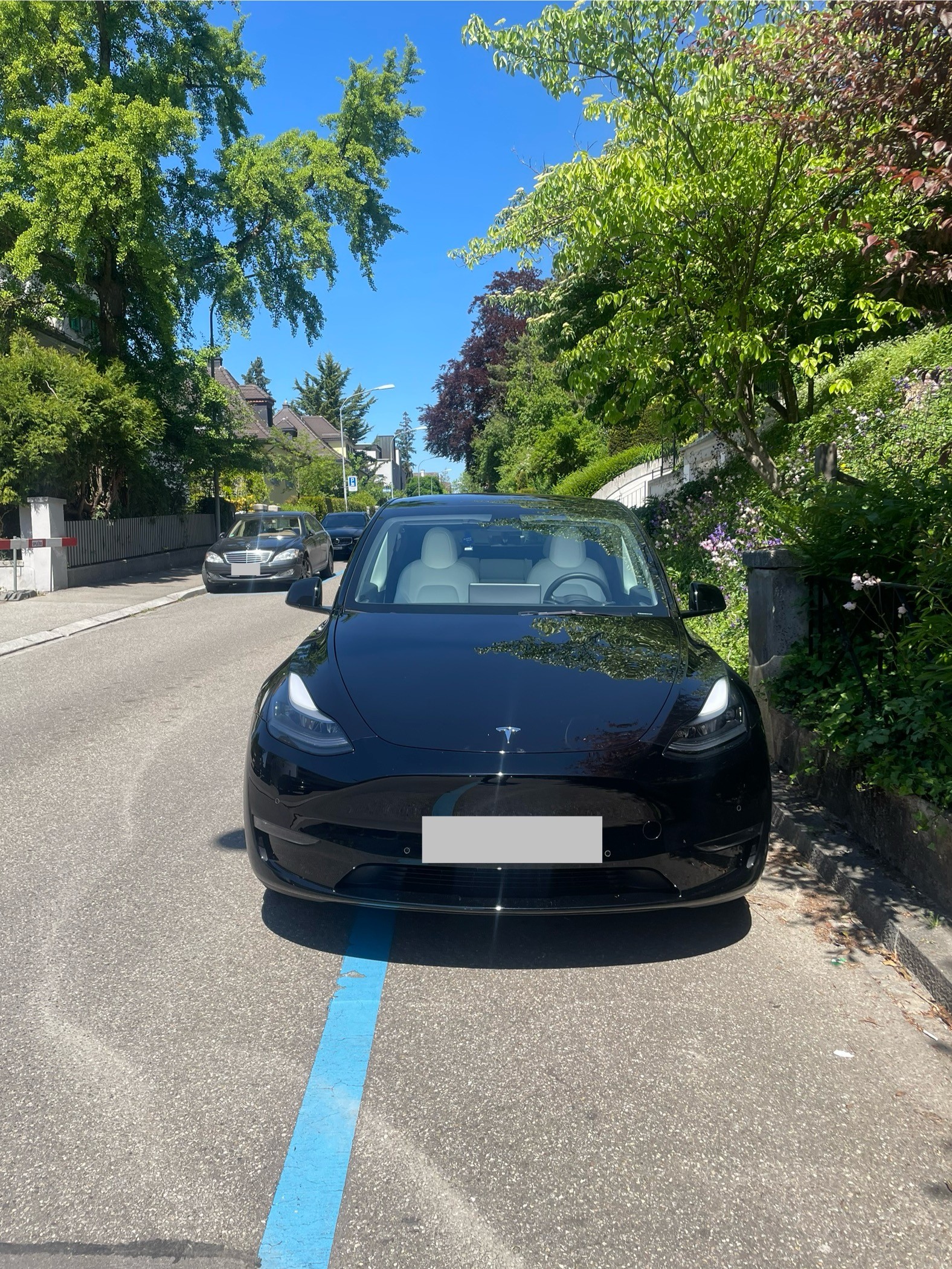 TESLA Model Y Long Range 4x4 dual motor, Innenraum weiss, 8-fach bereift-image-1