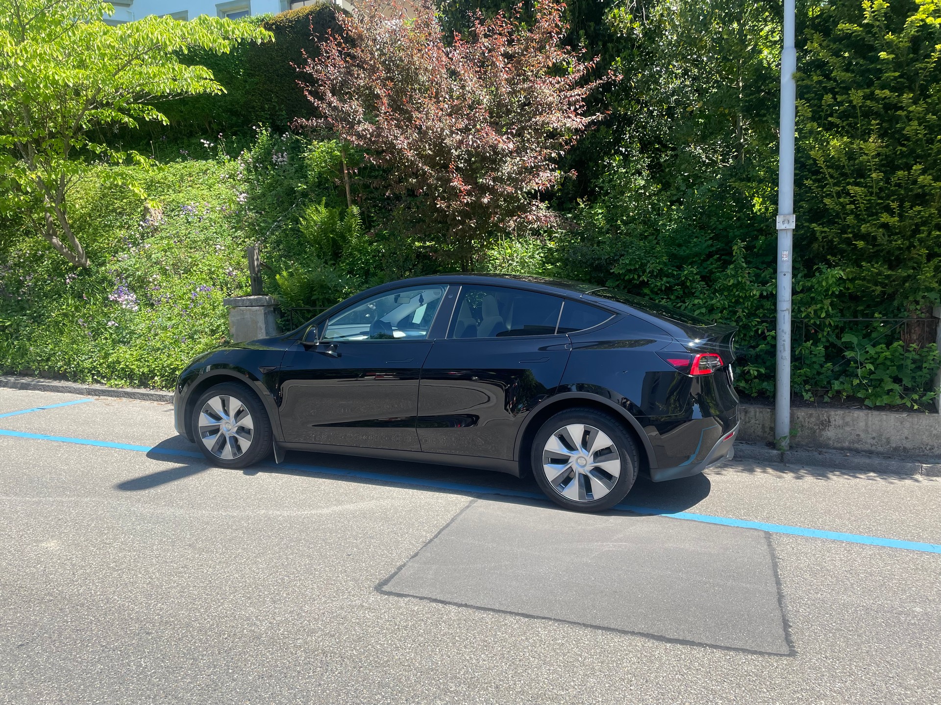 TESLA Model Y Long Range 4x4 dual motor, Innenraum weiss, 8-fach bereift-image-6