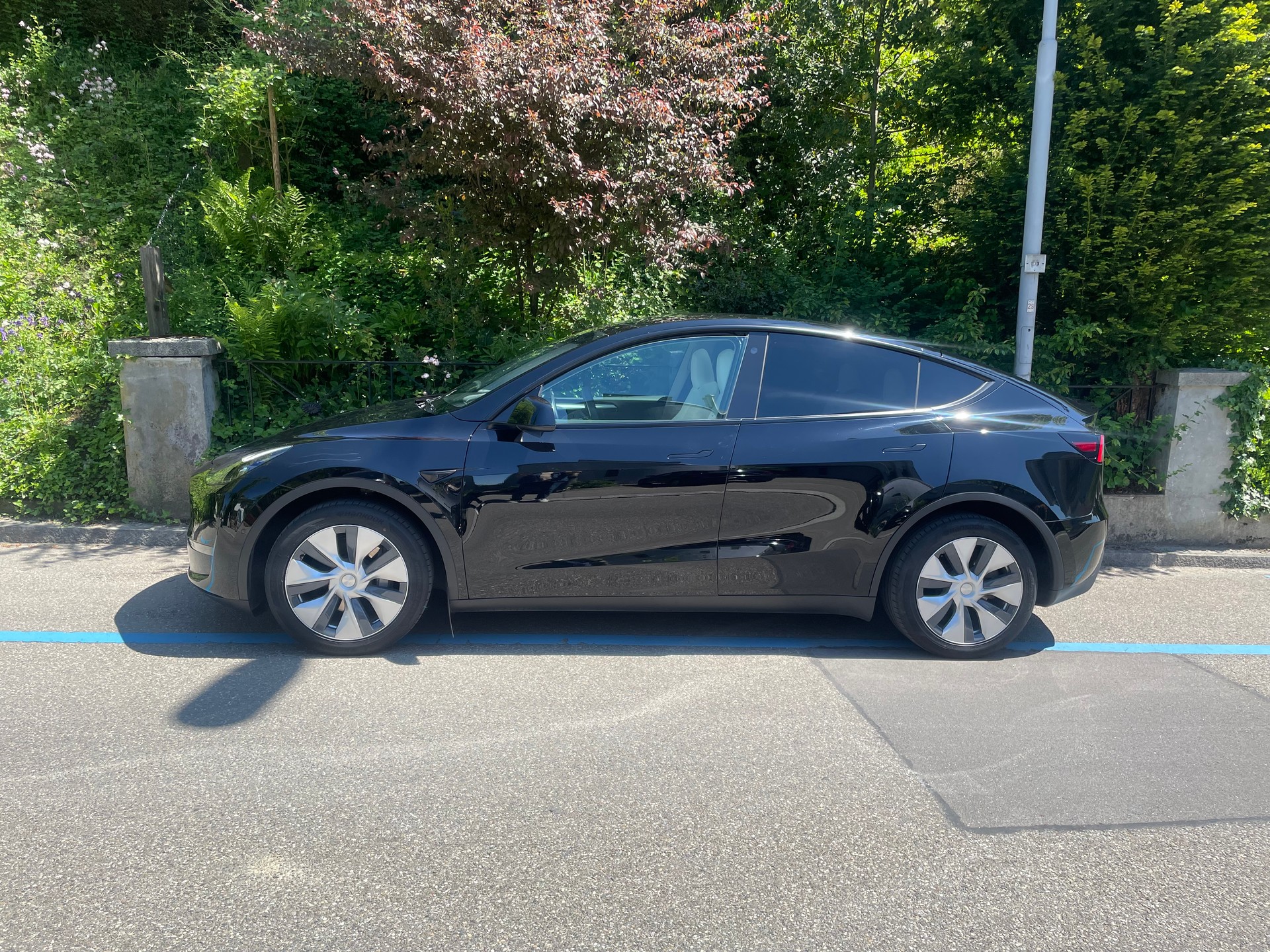 TESLA Model Y Long Range 4x4 dual motor, Innenraum weiss, 8-fach bereift-image-5
