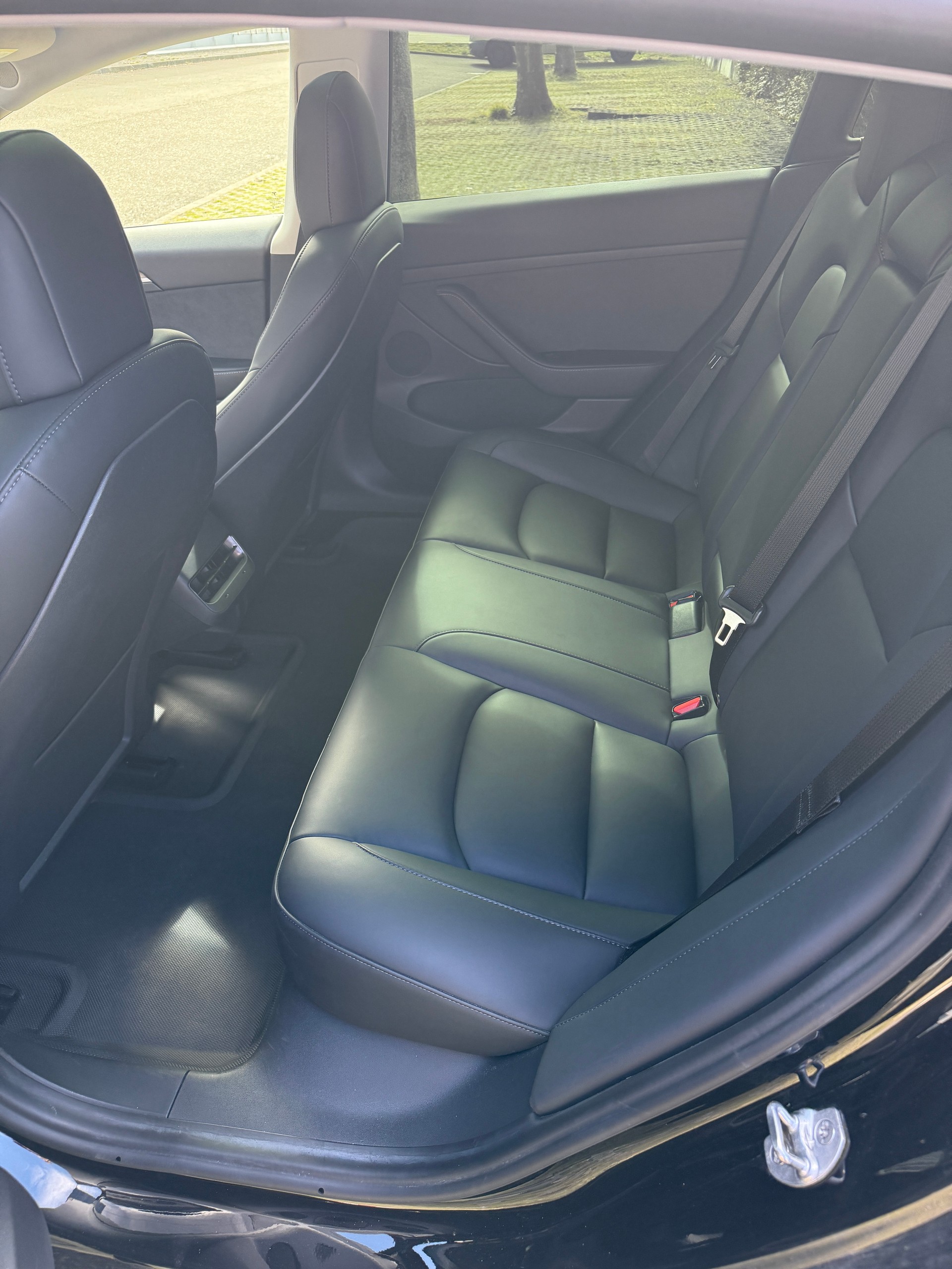 TESLA Standart Range Plus-image-6