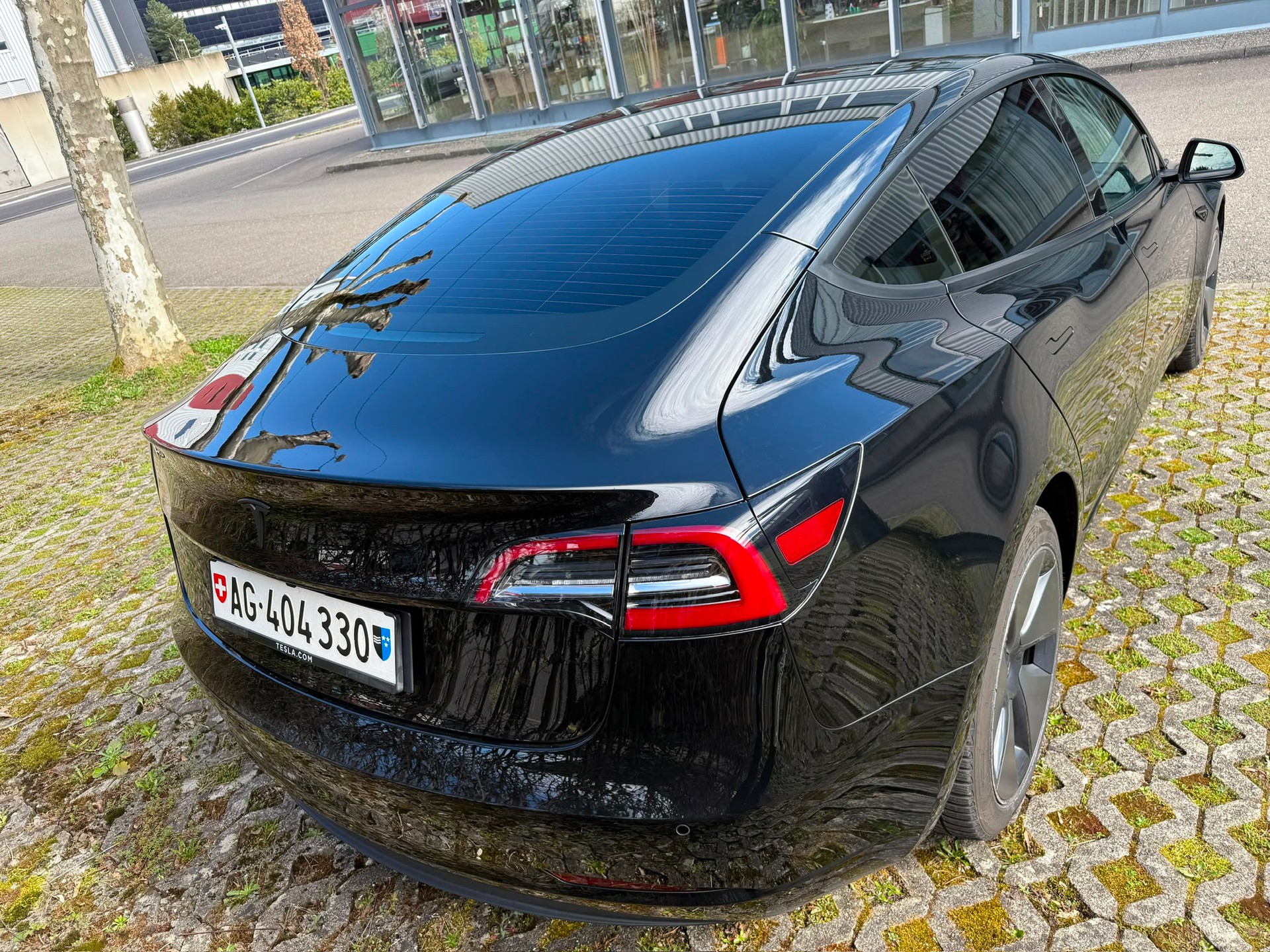 TESLA Standart Range Plus-image-3