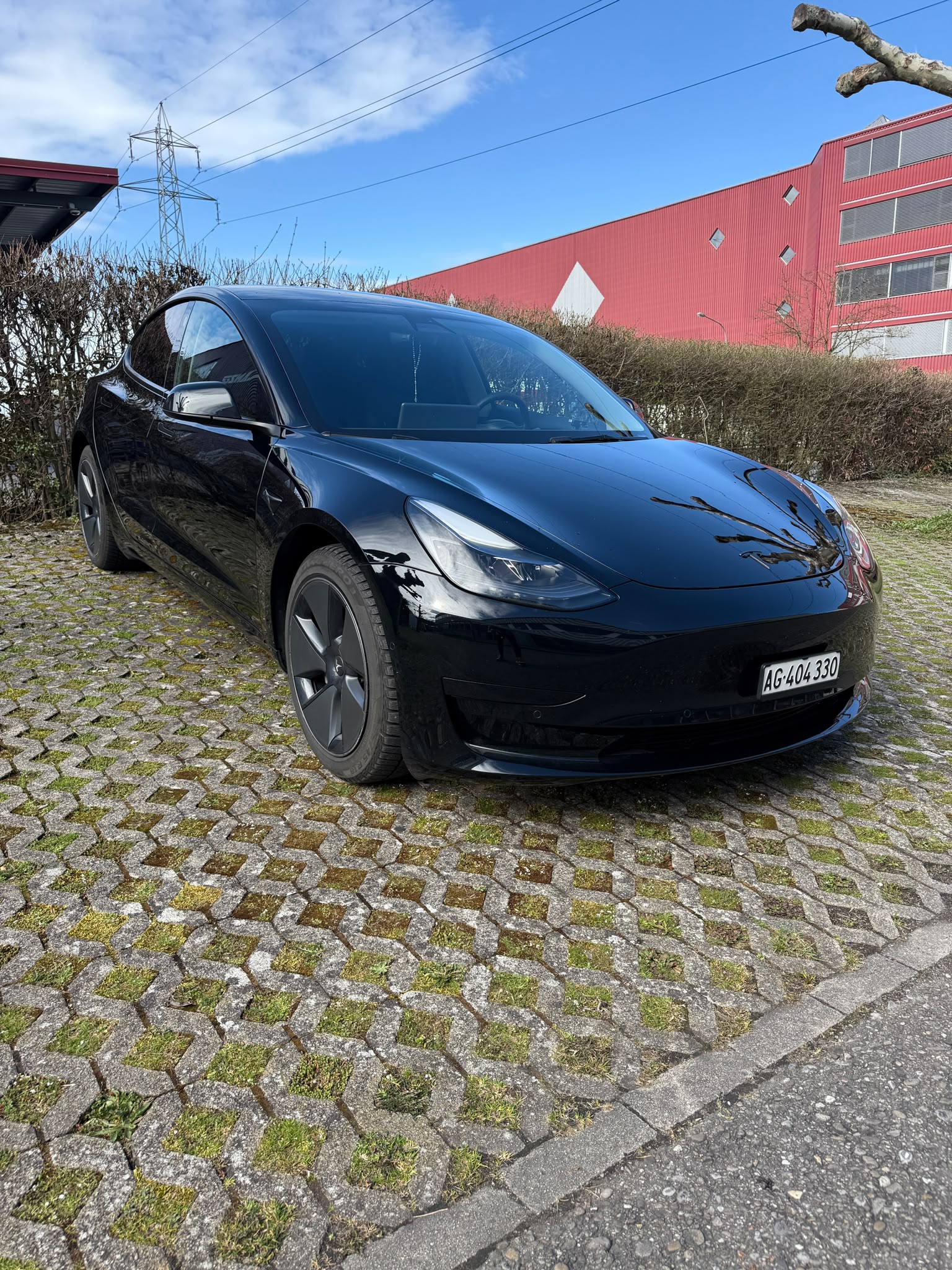 TESLA Standart Range Plus-image-2