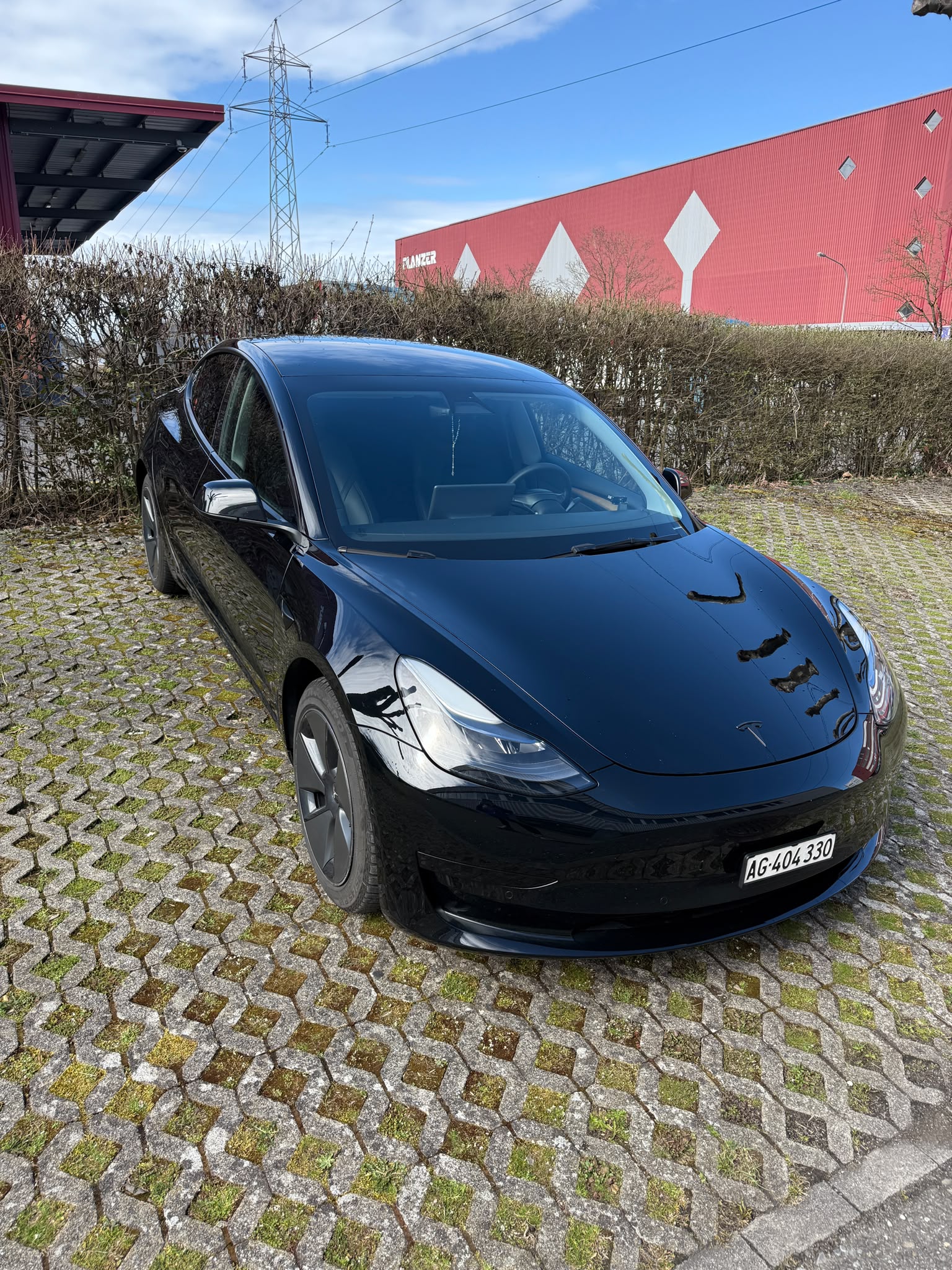 TESLA Standart Range Plus-image-1