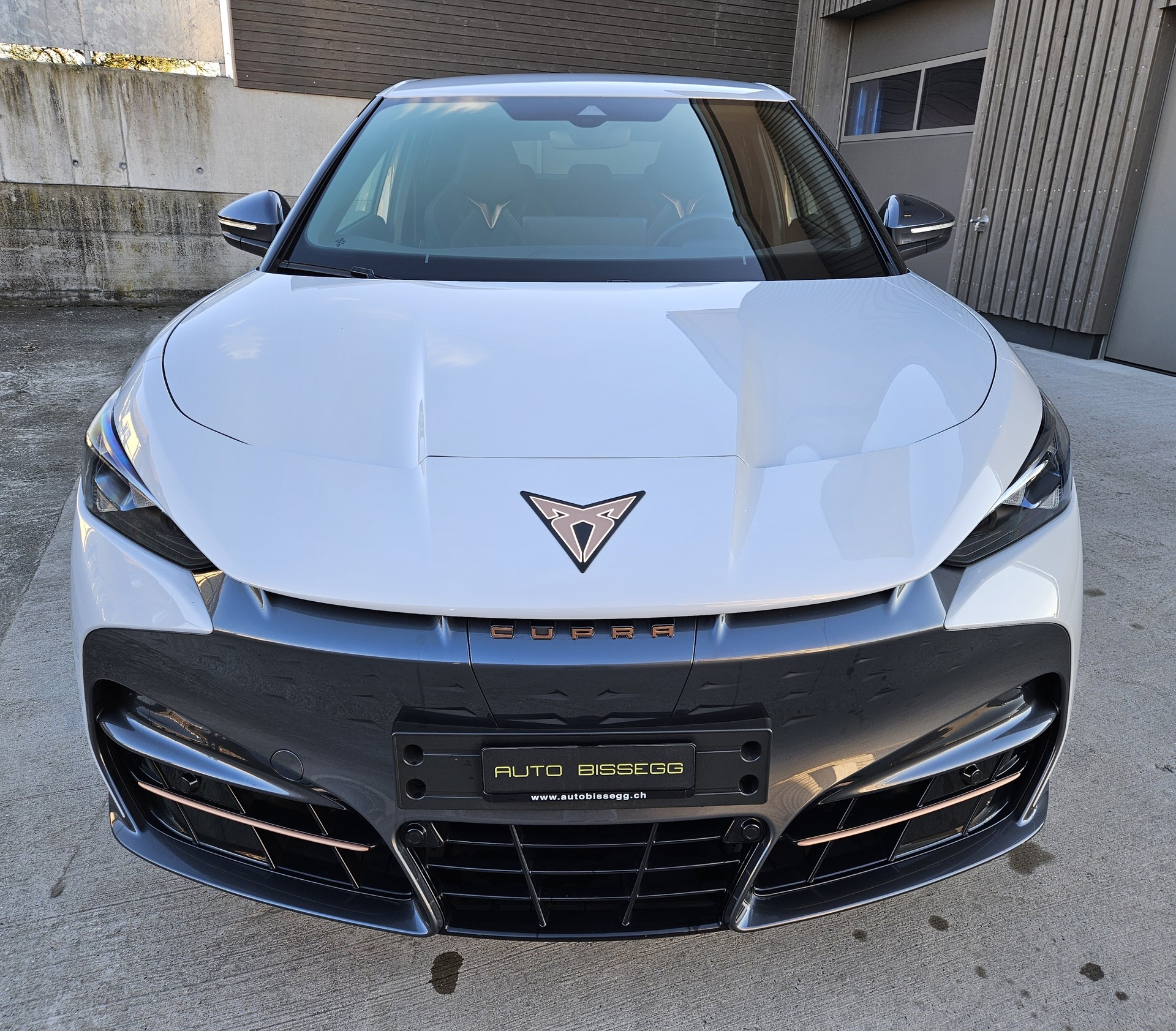 CUPRA Tavascan Type 4 77 kWh Endurance Edge-image-1