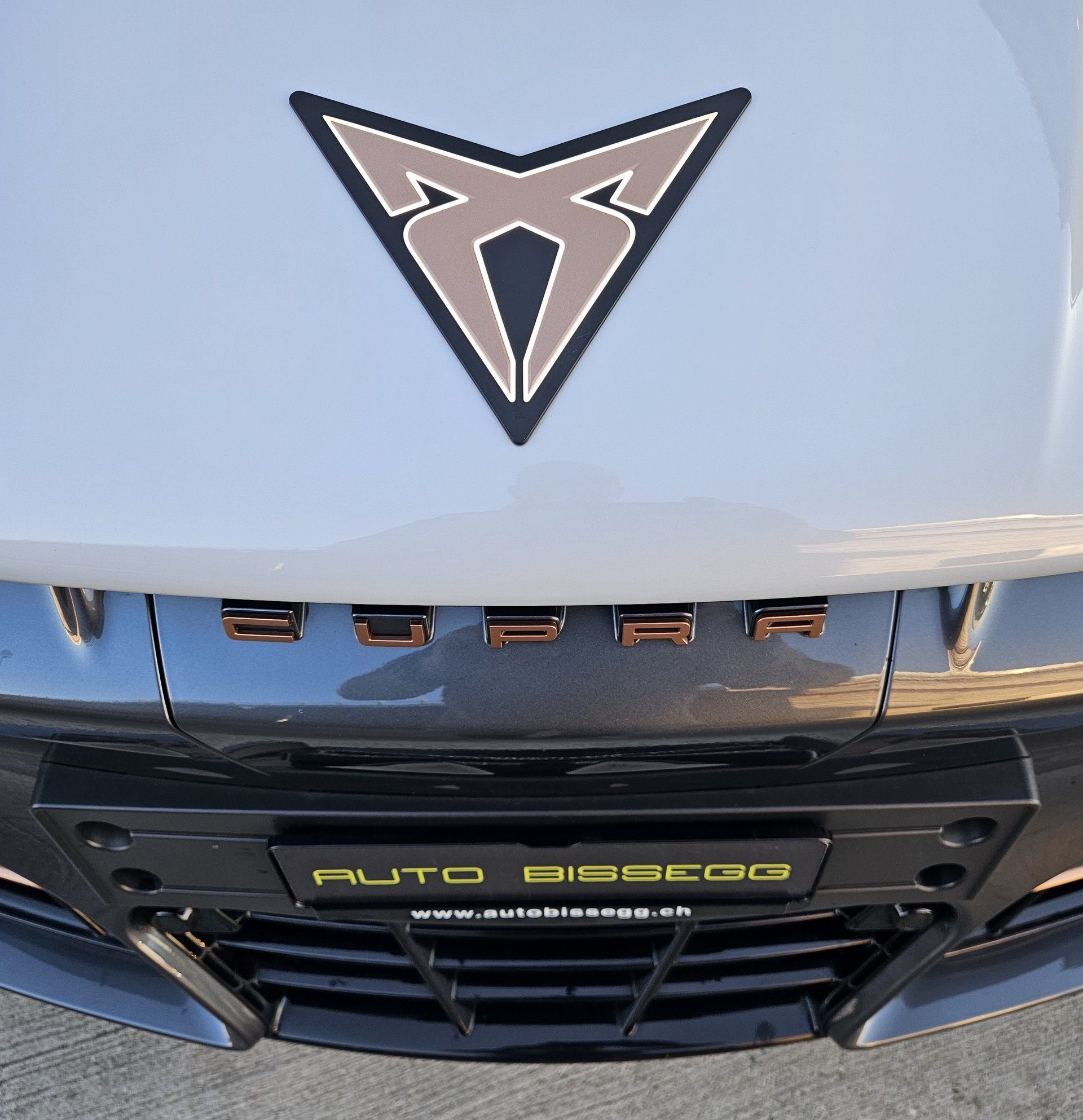 CUPRA Tavascan Type 4 77 kWh Endurance Edge-image-2